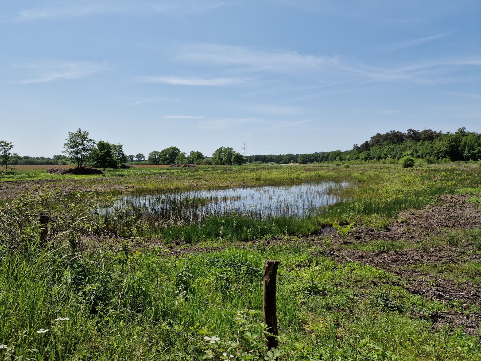 Am benachbarten Sumpfgebiet wurde viel Vegetation entfernt.