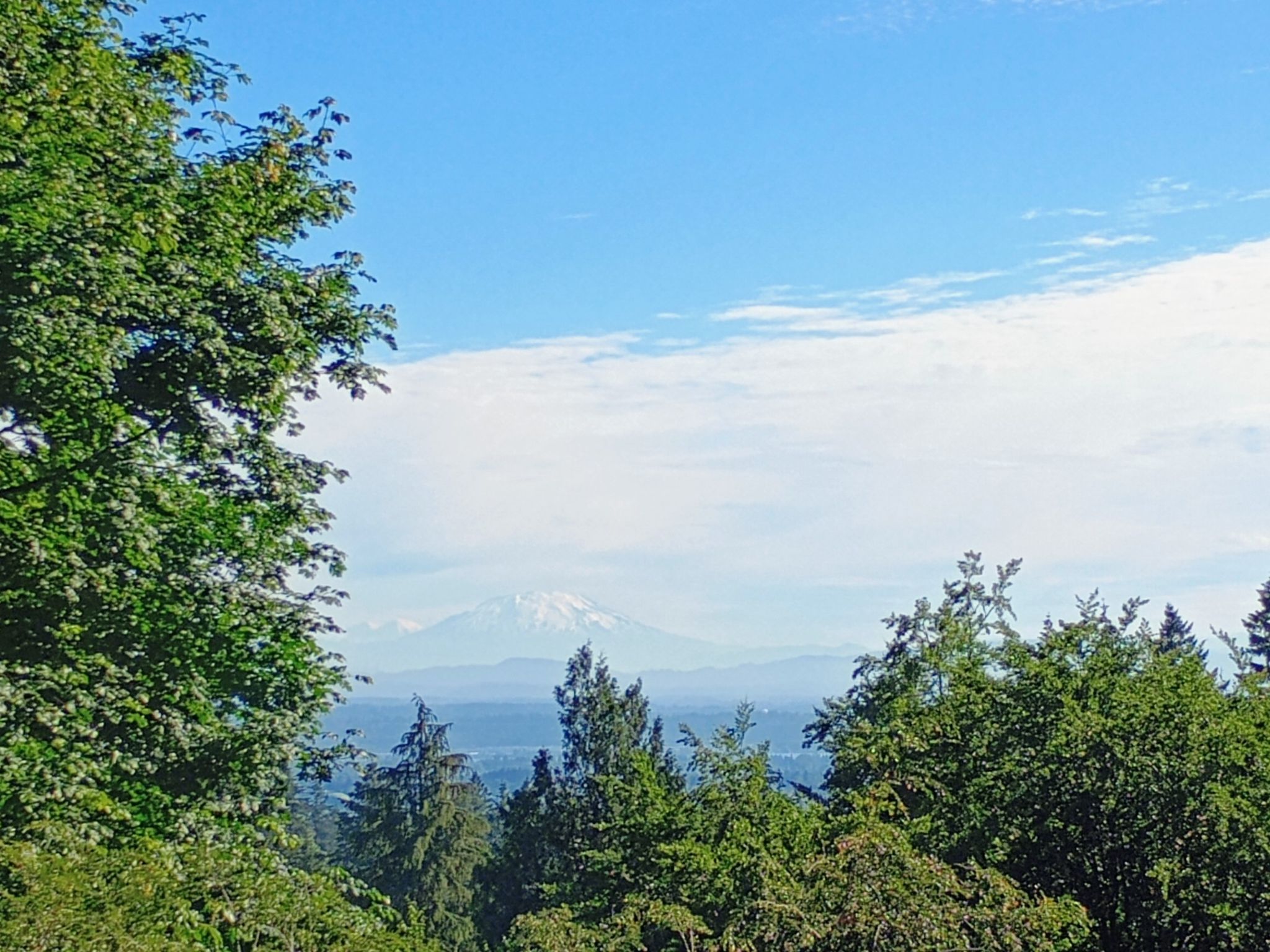 Distant snow-capped mountains visible over a lush green forest under blue sky. - Oak, Magnolia, and Beech Trail Loop