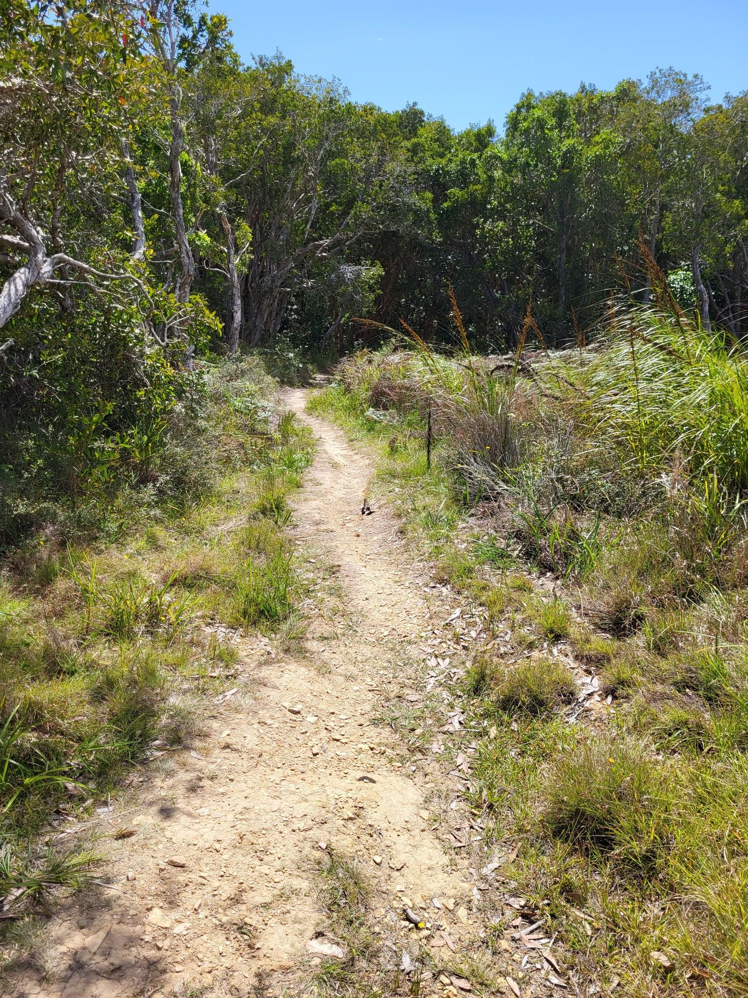 Milne Track