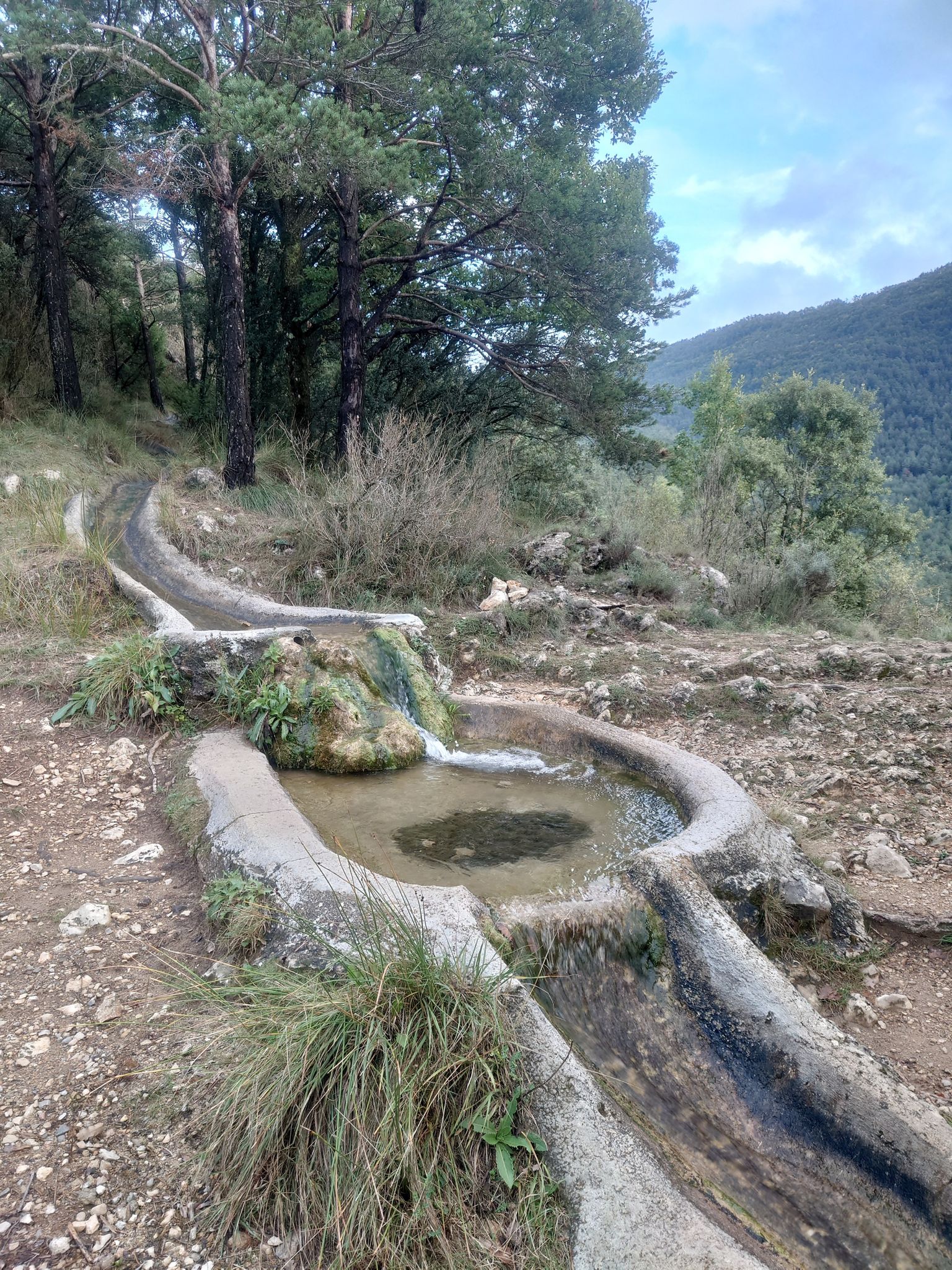 El Grau 