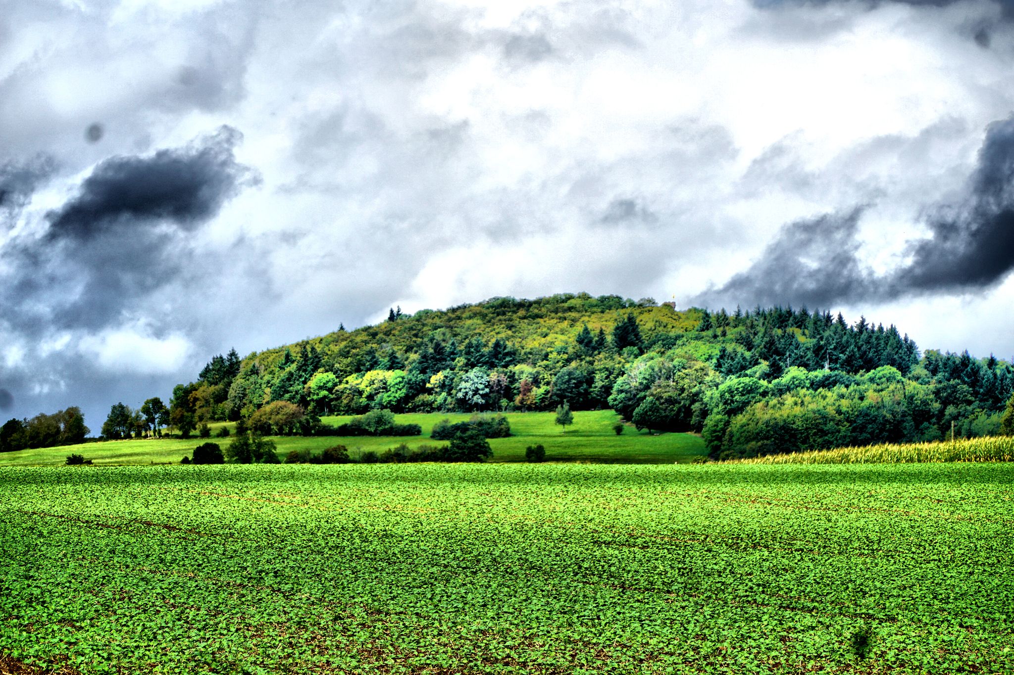 Blick auf den Katzenbuckel