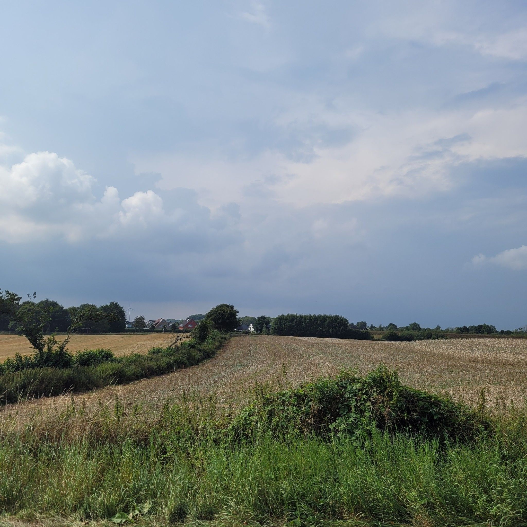 aus Wwsten schiebt sich die Gewitterfront so langsam heran .... man hört es auch schon grollen ....⛈️🌩