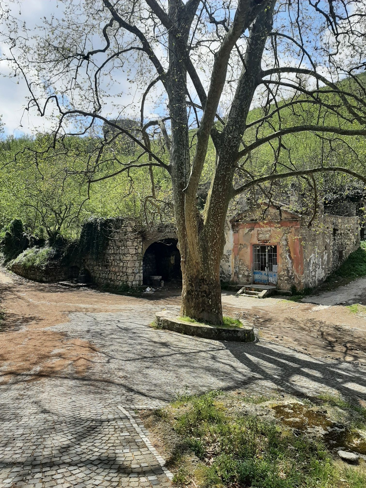 fontana vecchia