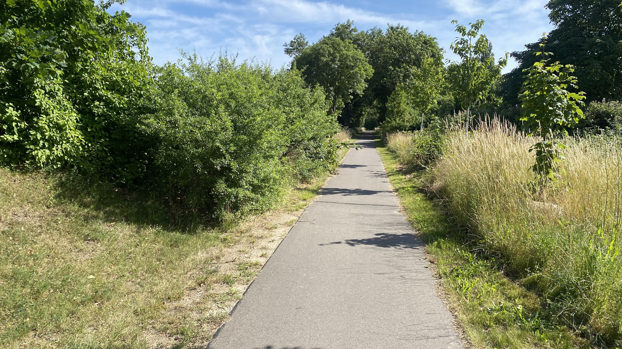 Radweg bei Lindenhof