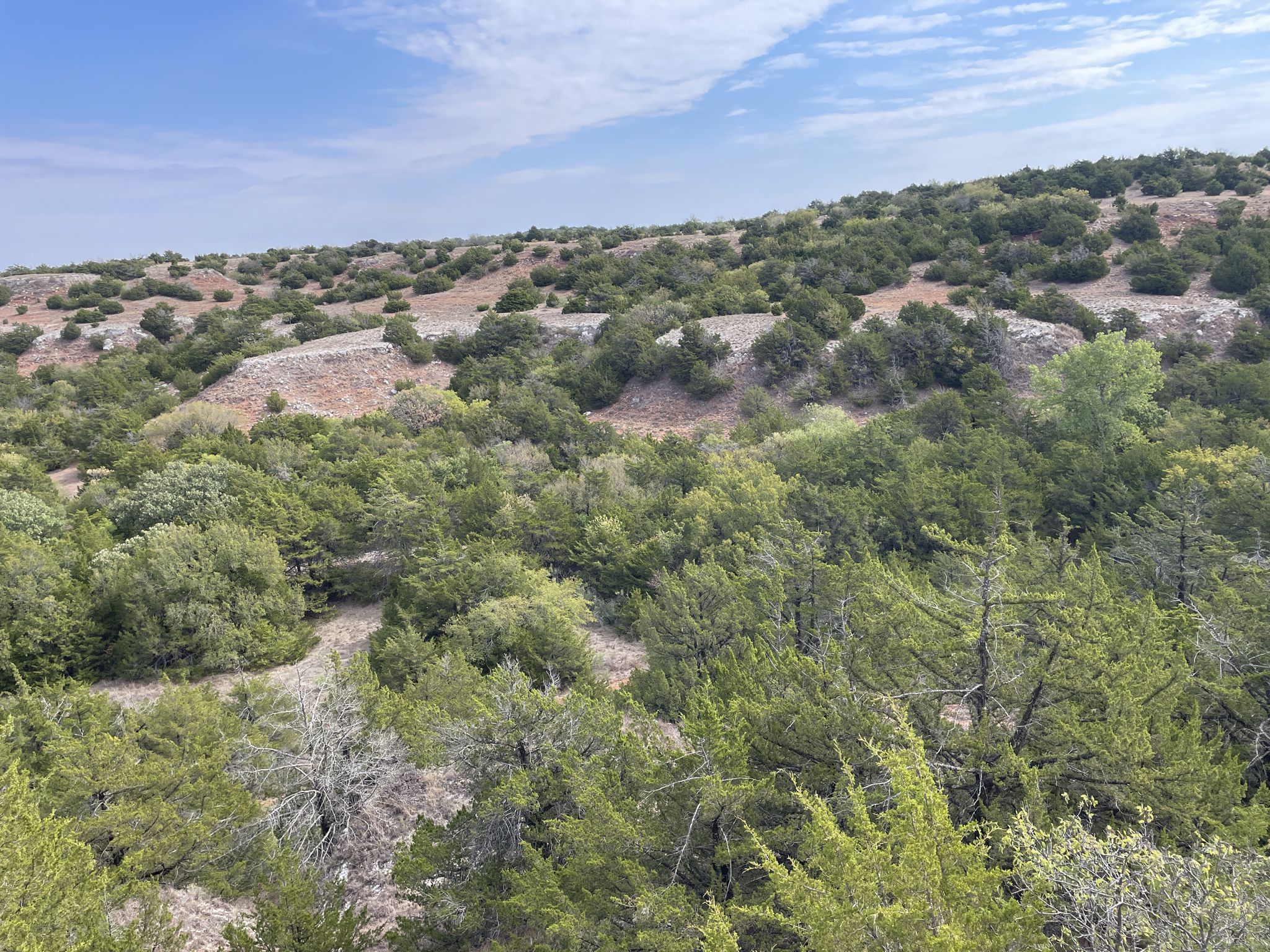 Bright daylight over rolling hills covered in dense green trees and shrubs. - Inspiration Point Loop