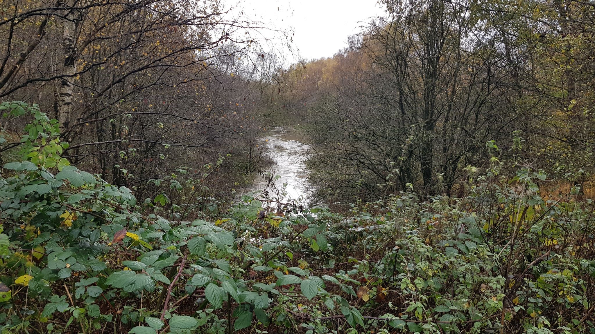 River Doe Lee