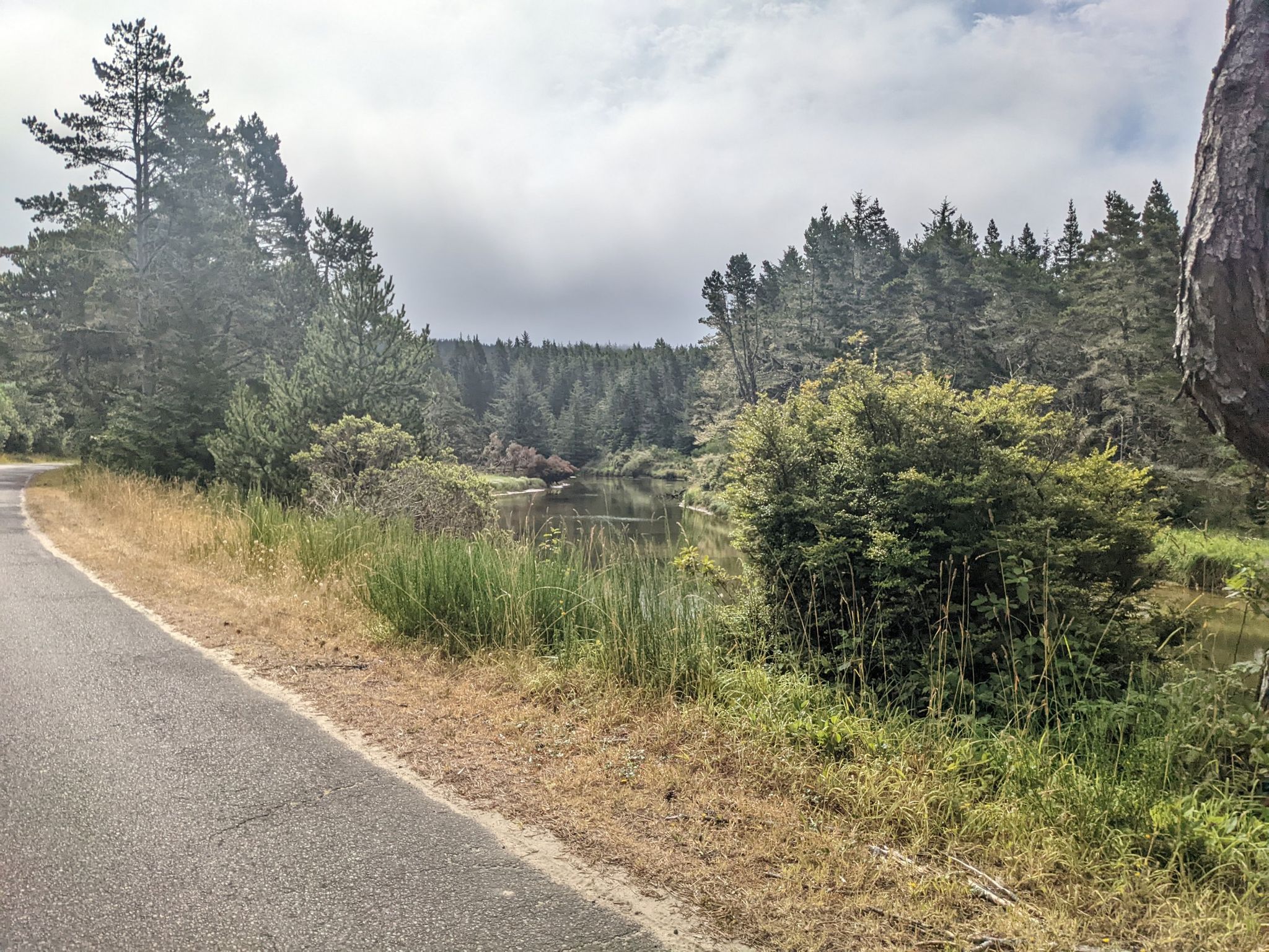 Overcast view of a paved road beside a calm lake and dense forest. - Siltcoos River Paddle Route