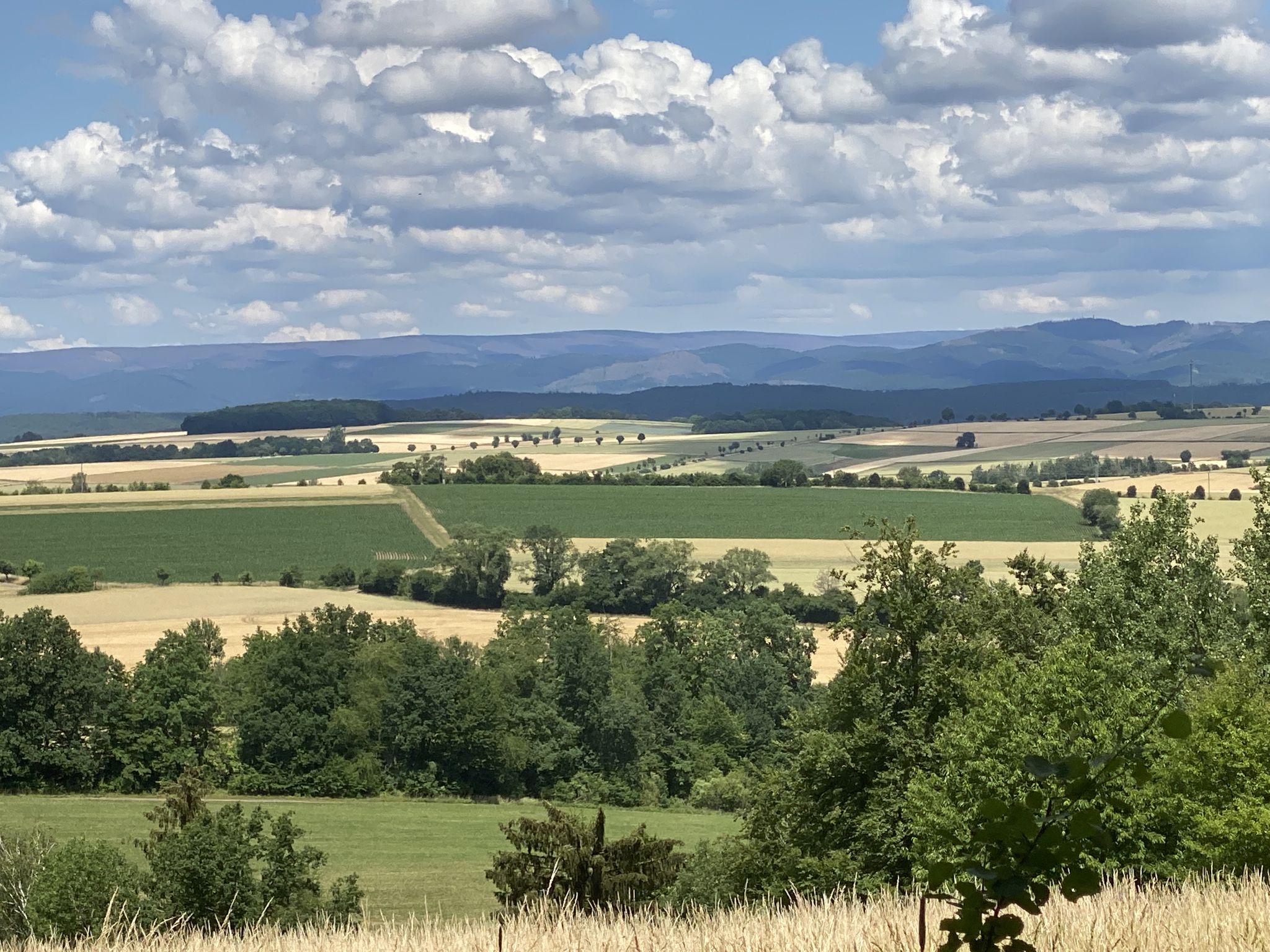 Harzblick