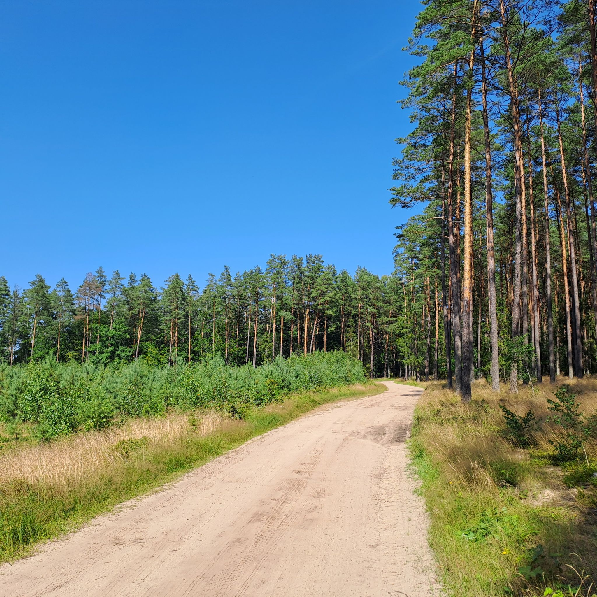 Die Hauptverbindungsstraße dorthin