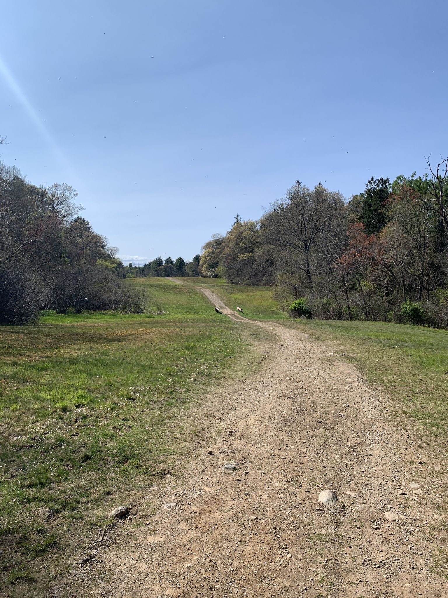 Wide dirt path ascending through sunny green fields with distant trees. - Willowdale Mill Reservation – Turtle Hill Trail loop from Bradley Palmer State Park