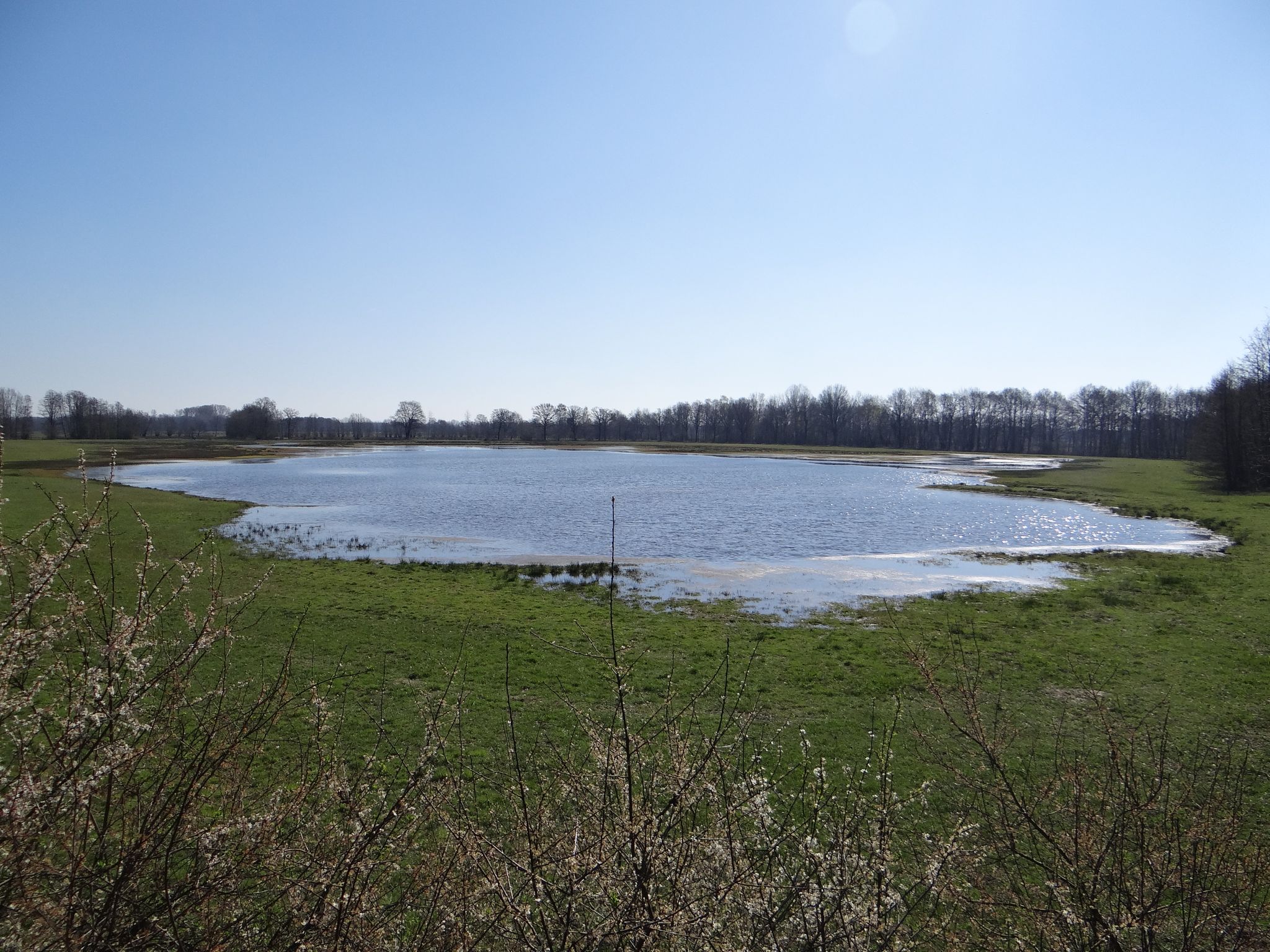 Blick aus dem Vogelbeobachtungsturm