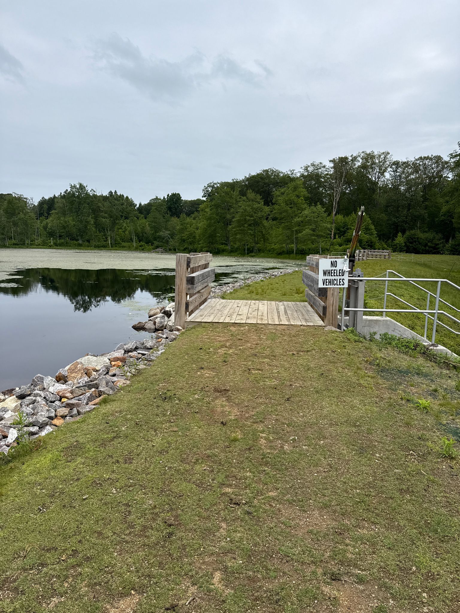 A wooden ramp extends to a pond with green algae under an overcast sky. - Brown Hill Pond loop from Stone Preserve