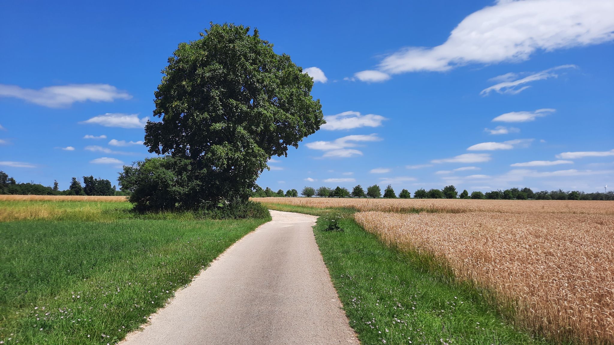 Radweg zwischen Nennslingen und Thalmannsfeld