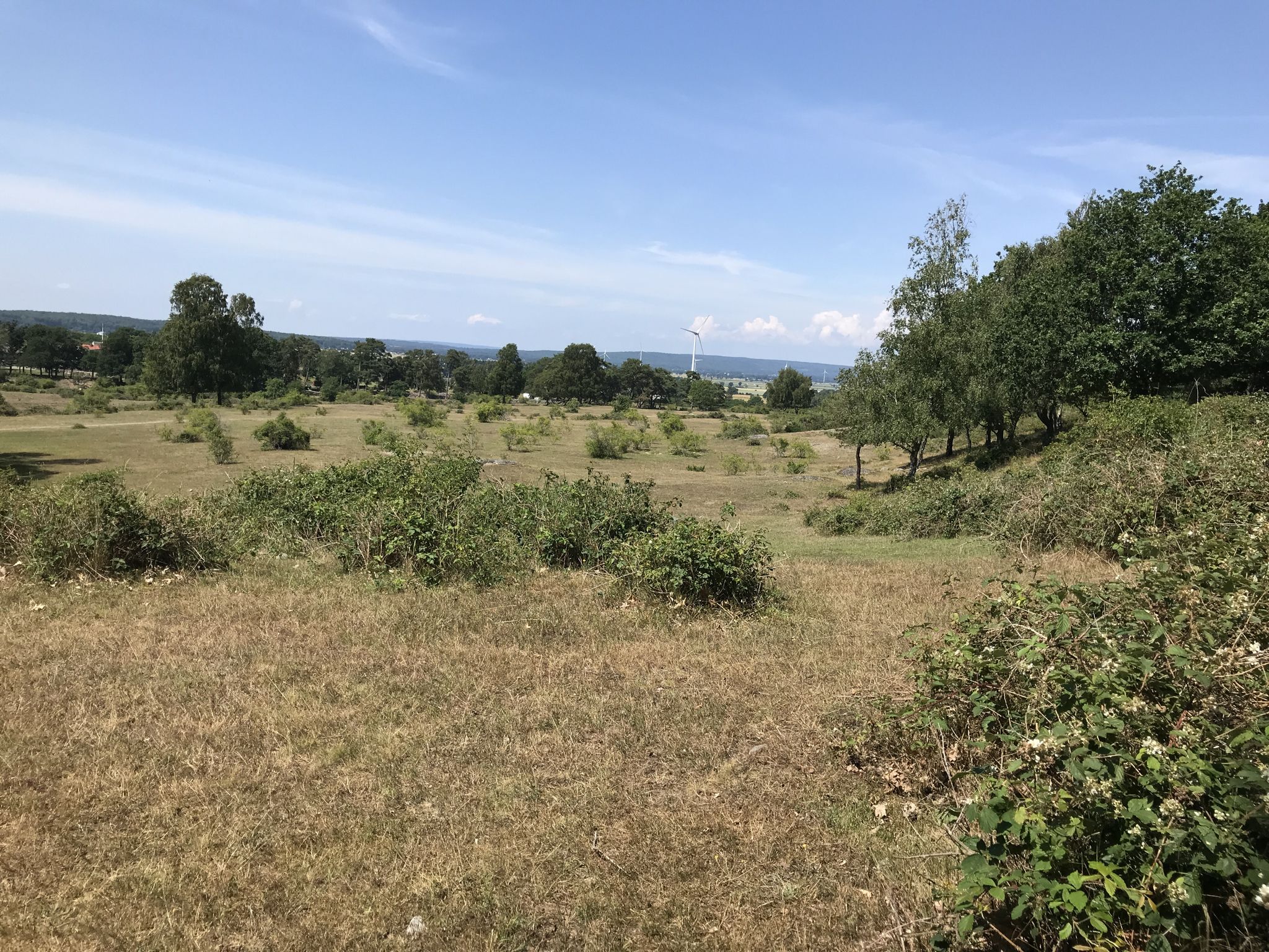 Aussicht von oben 