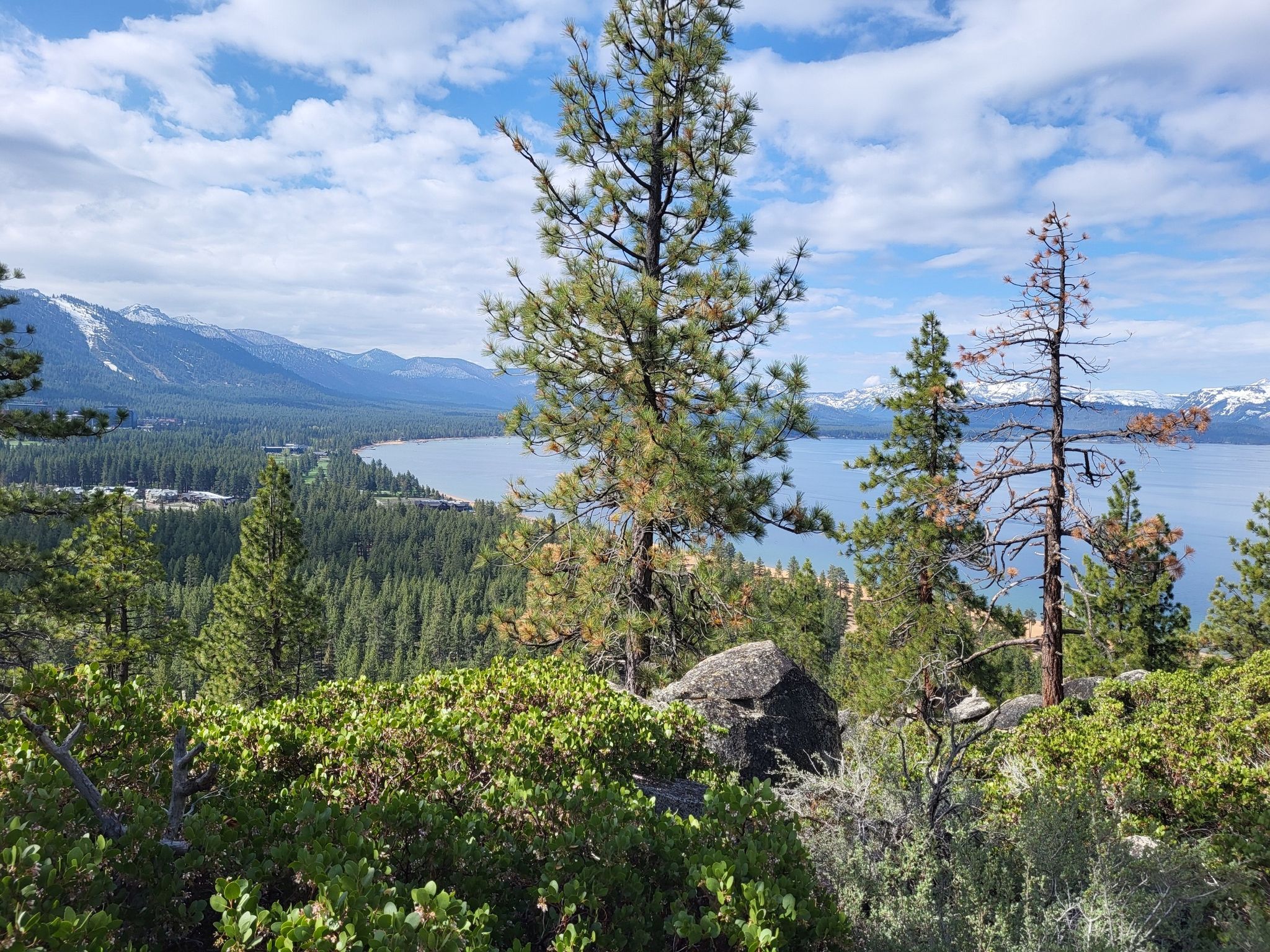 Scenic view of a blue lake and mountains through green pine trees. - Nevada Beach and Round Mound Trail