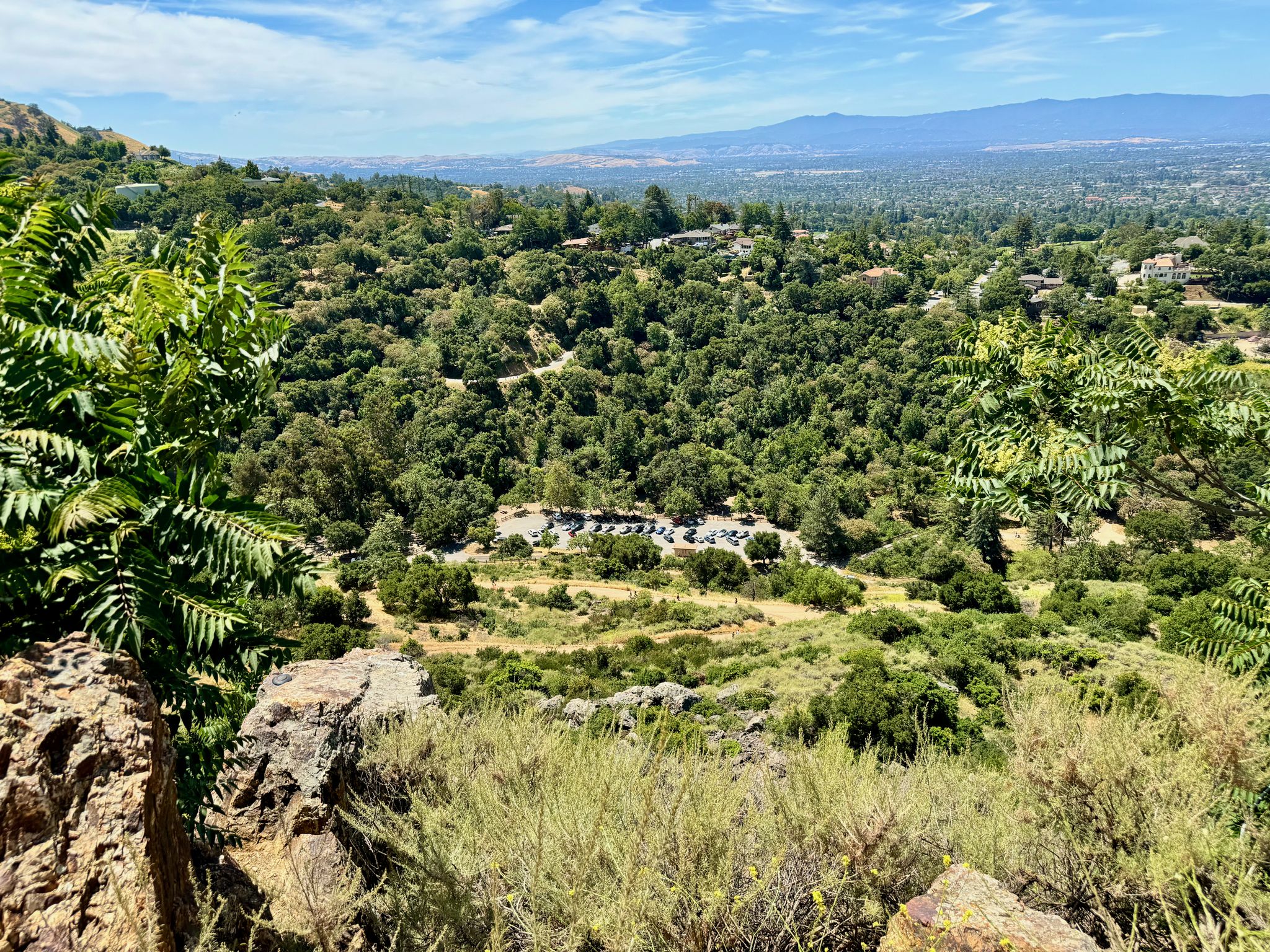 Expansive view of green, forested hills and a distant valley on a sunny day. - Alum Rock Park – Upper Penitencia Creek loop from East Foothills
