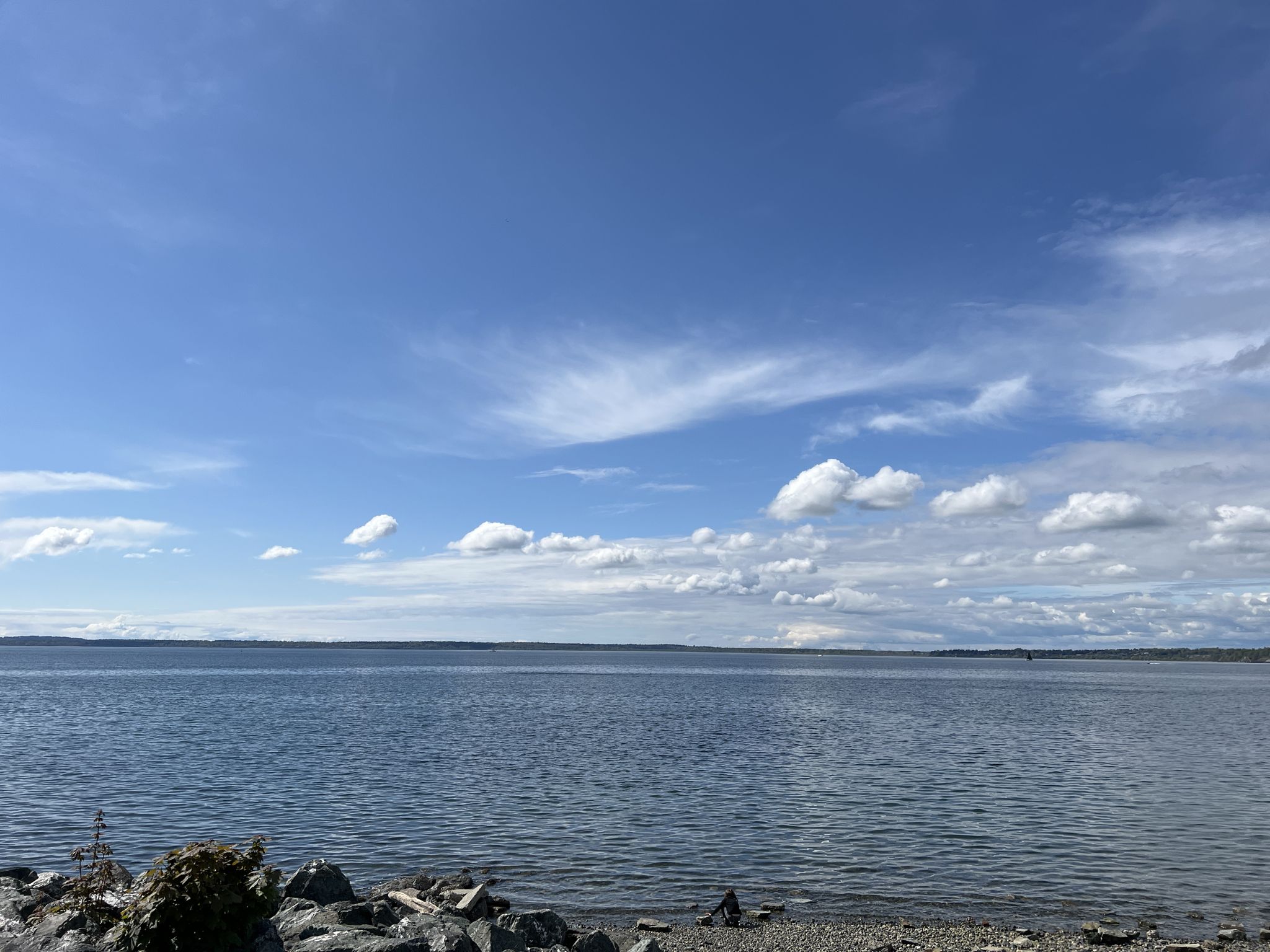 Expansive view of calm blue water under a clear sky with scattered white clouds. - South Bay Trail – Boulevard Park loop from Squalicum High School