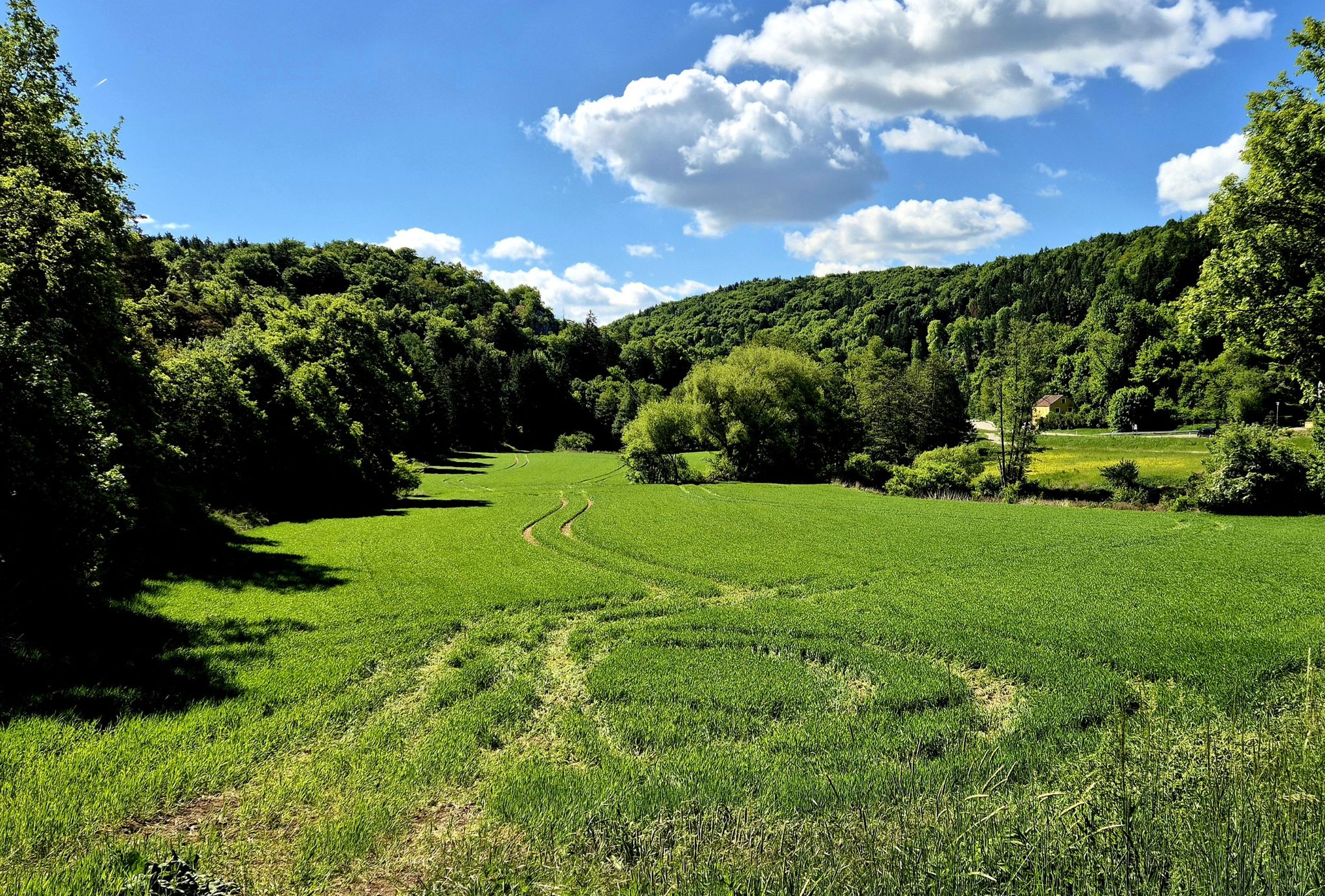 Tal der Schwarzen Laaber