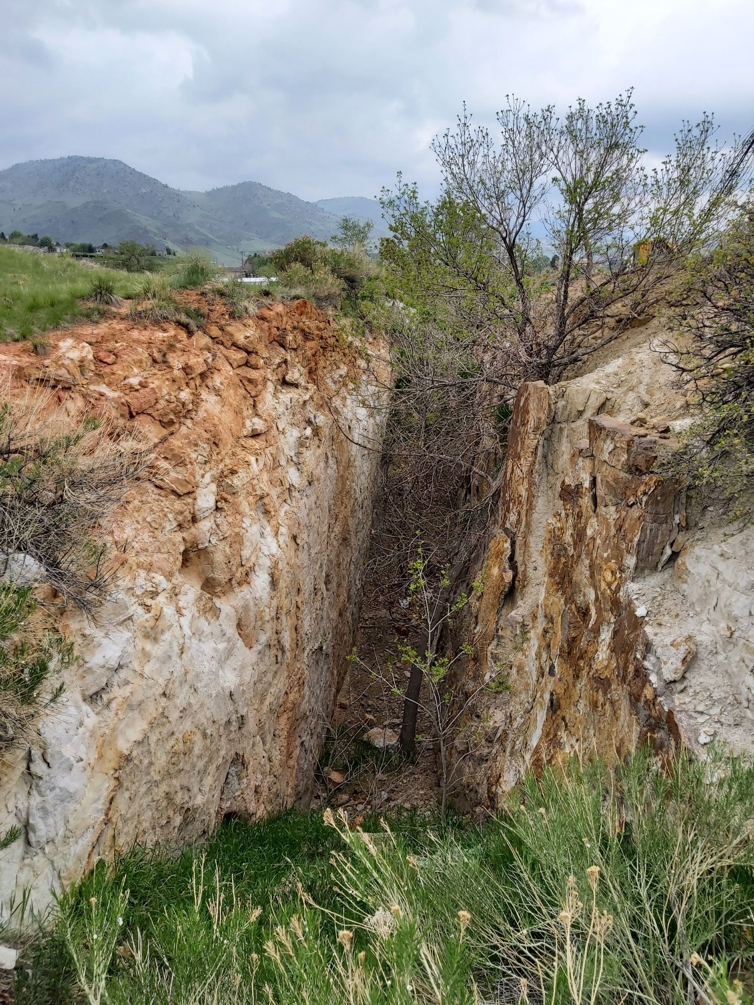 Narrow rocky trench with green vegetation and distant hills on an overcast day. - Triceratops Trail