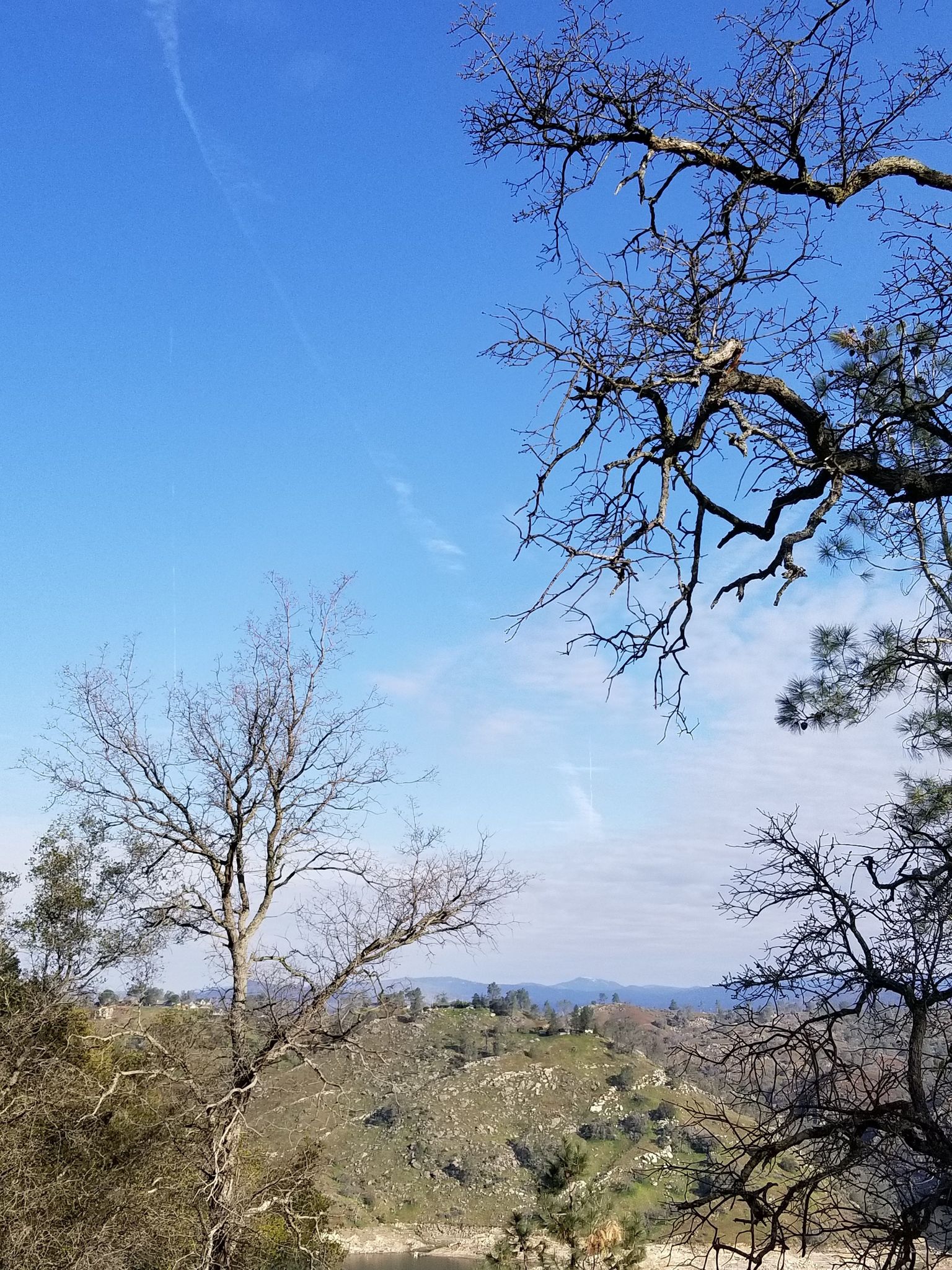 Bare tree branches frame a distant view of hills and a valley. - Pincushion Peak Trail