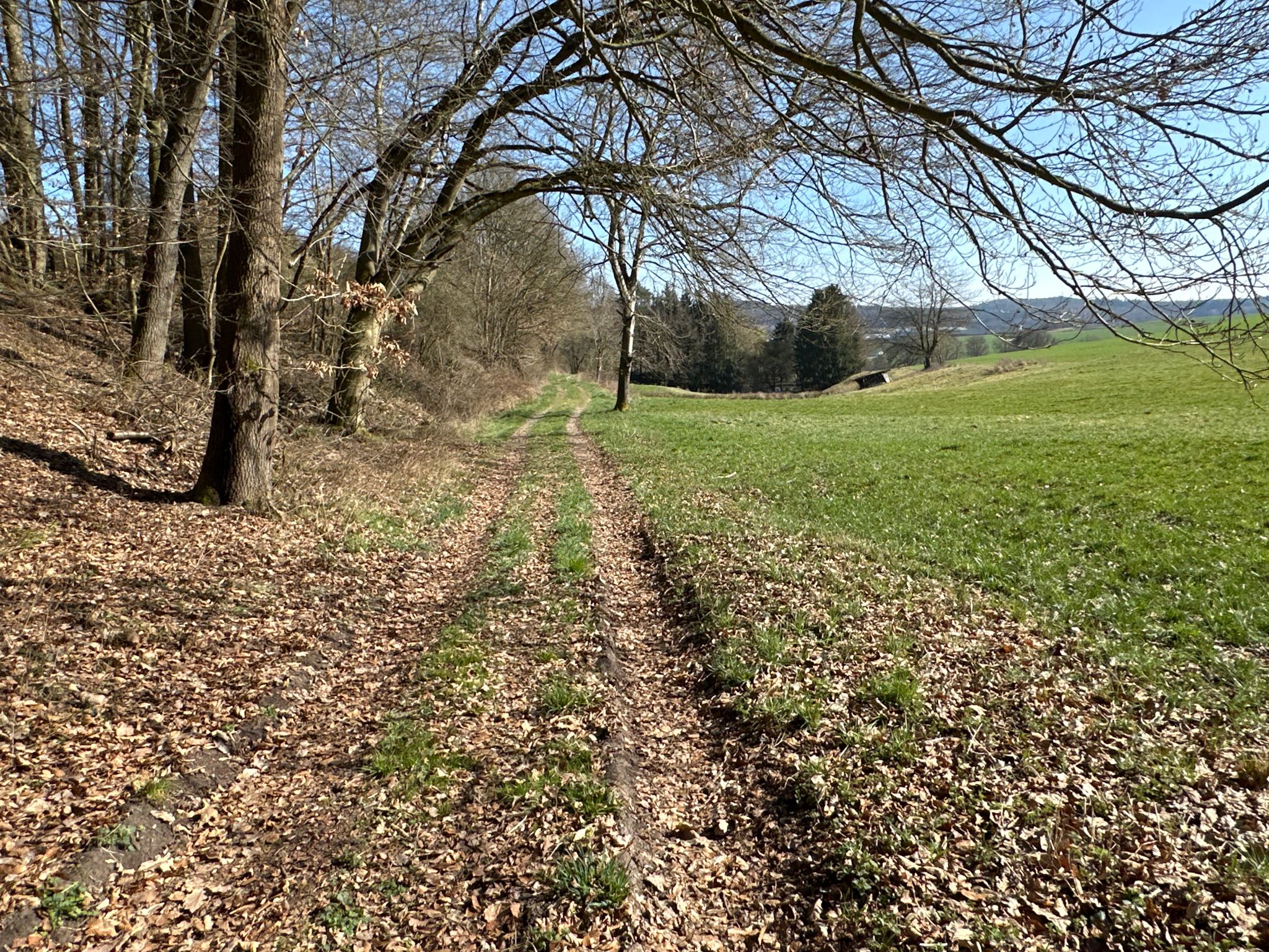 Durch Feld und Flur