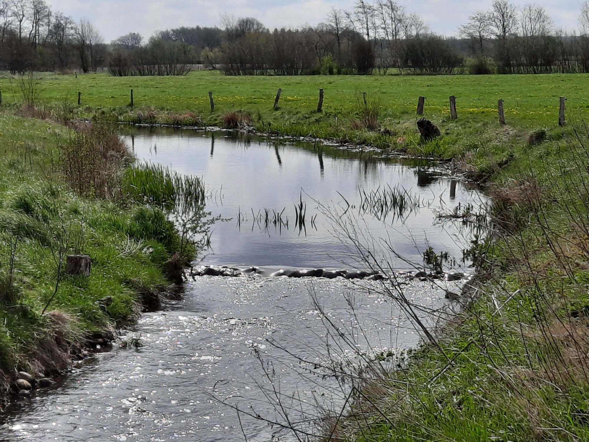 Bachlauf
