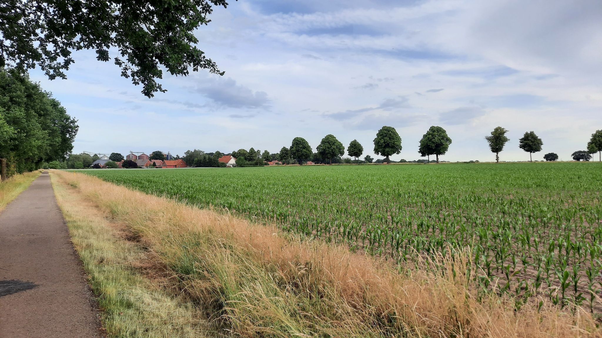 Radwegblick durch die Felder