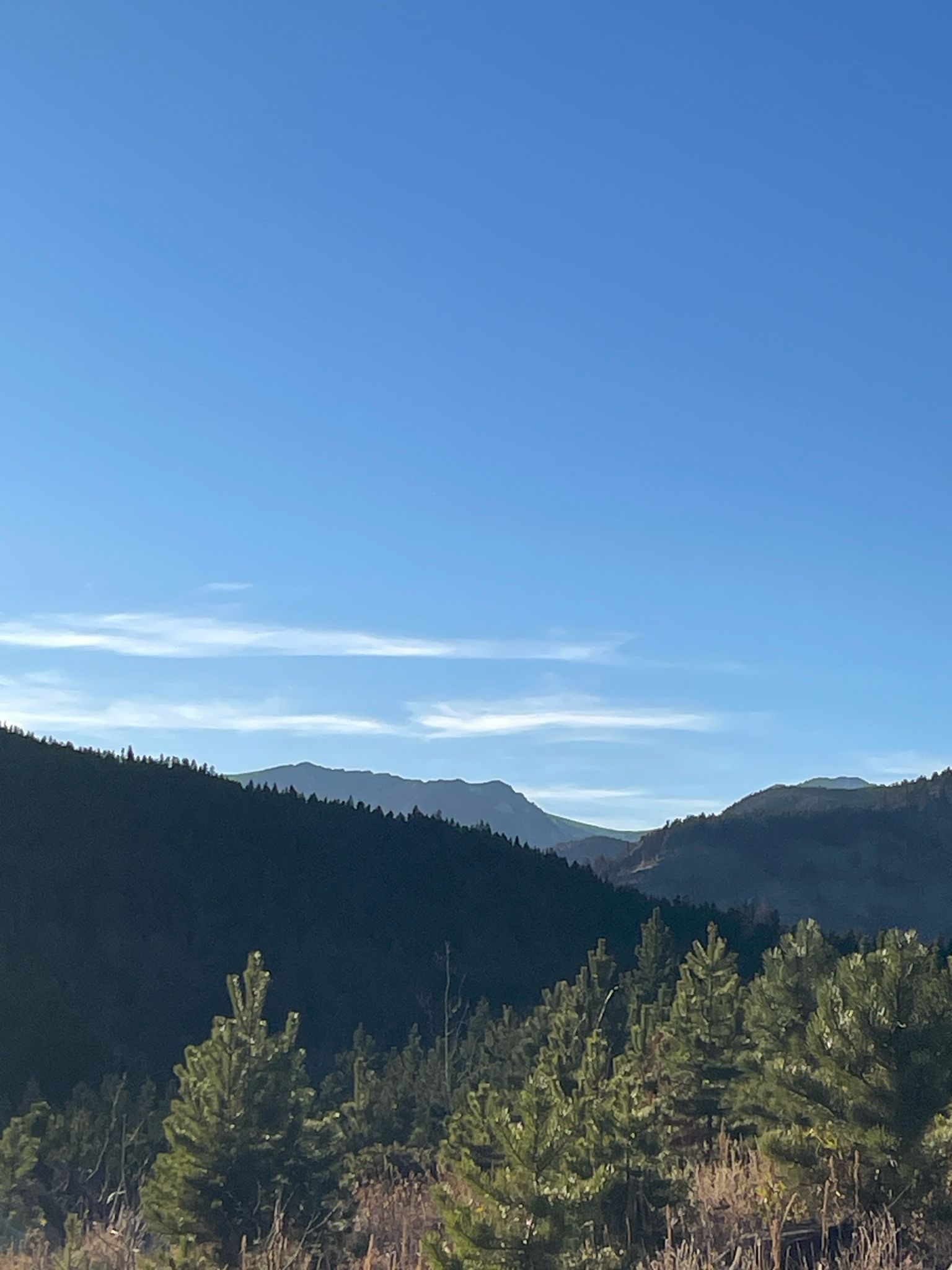 Distant mountains under a clear blue sky, with sunlit evergreen forests in the foreground. - Hobbit and Observatory Loop