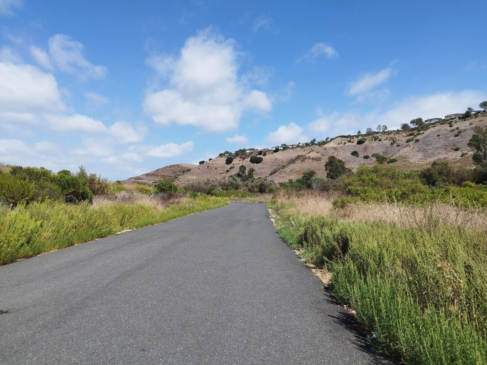 Paved road winding through green and dry vegetation with rolling hills. - Cave Rock via Aliso Creek Trail