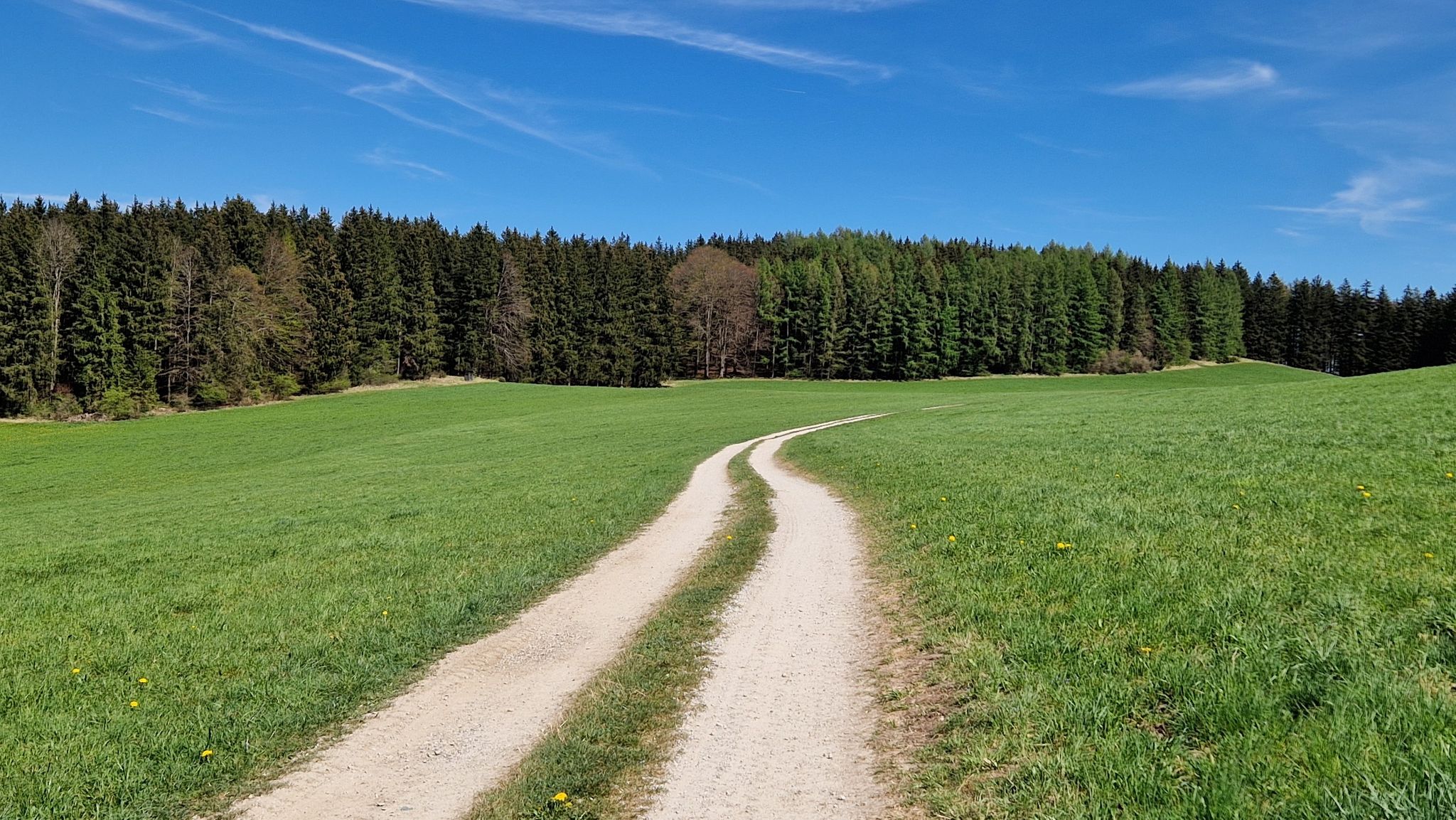 Traumhafter Weg nach Gut Rothsee