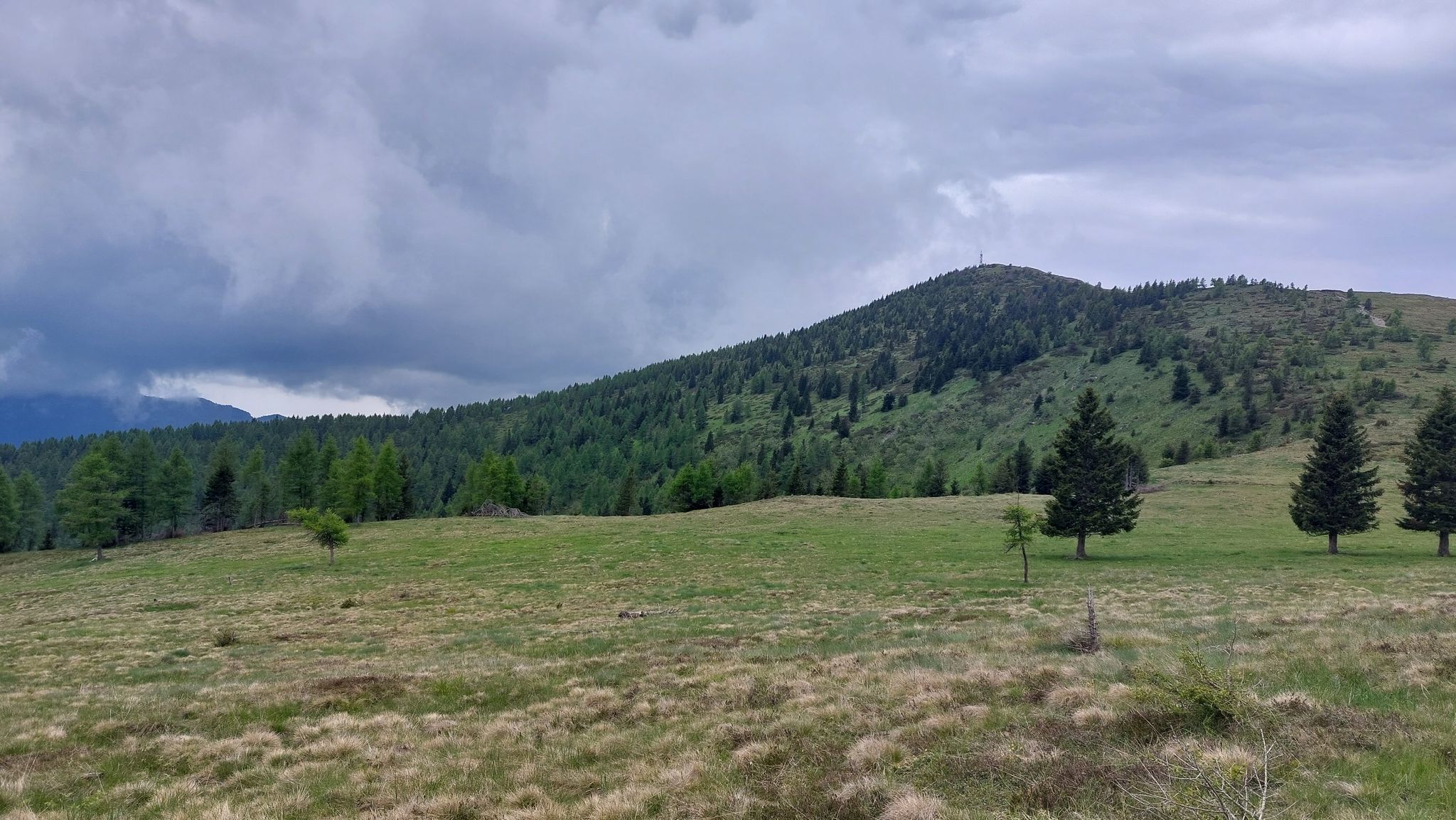 Cima Panarotta