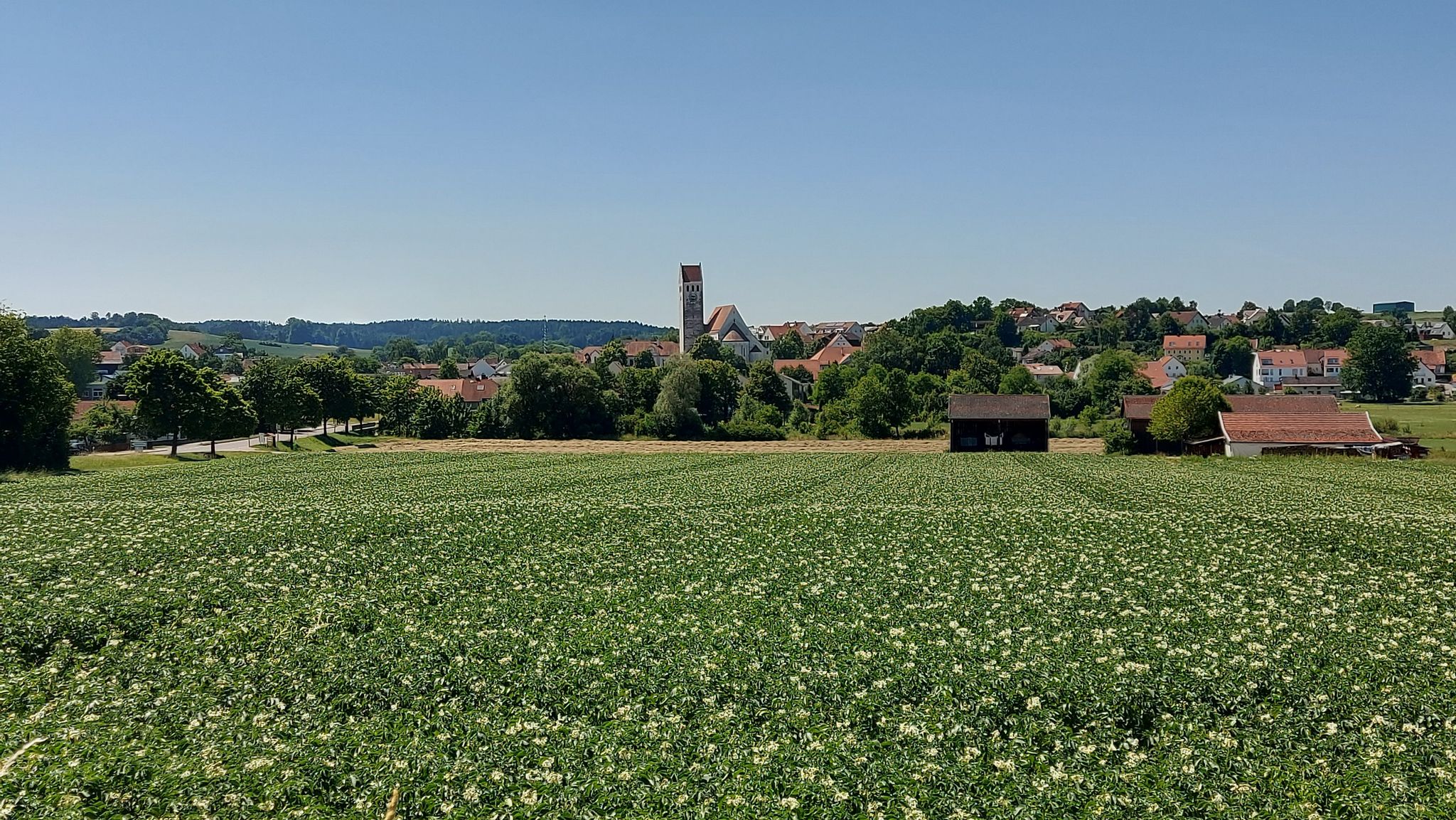 Ilmmünster