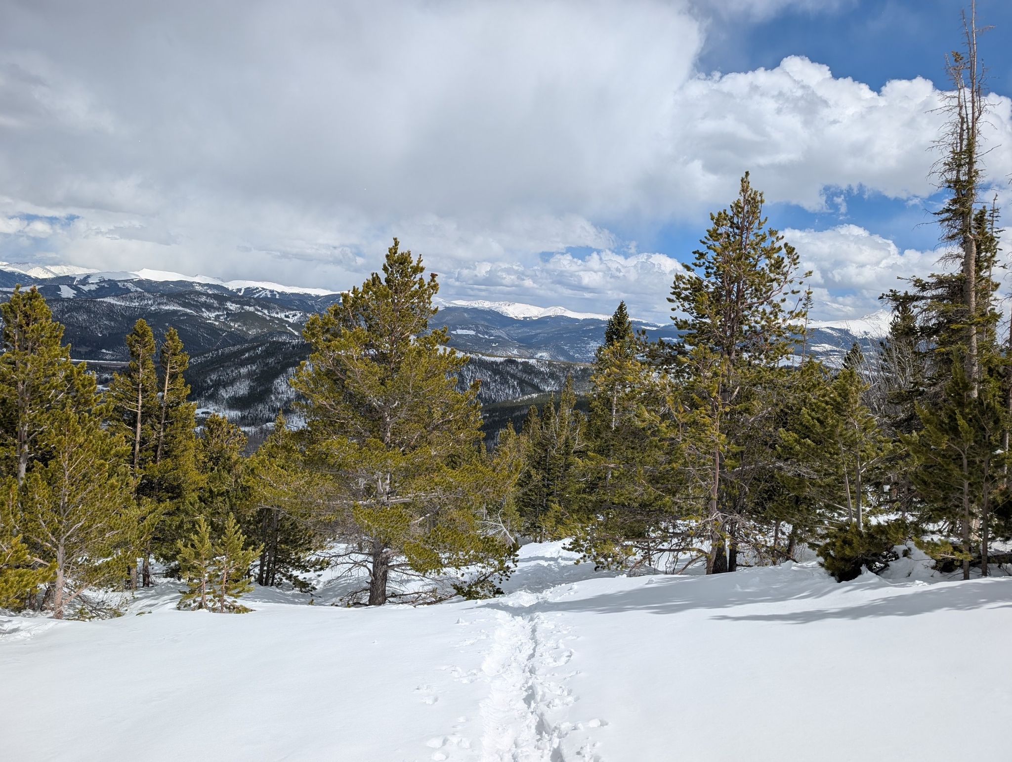 Snowy forest path with footprints leading towards distant mountains under cloudy sky. - Mount Royal Loop