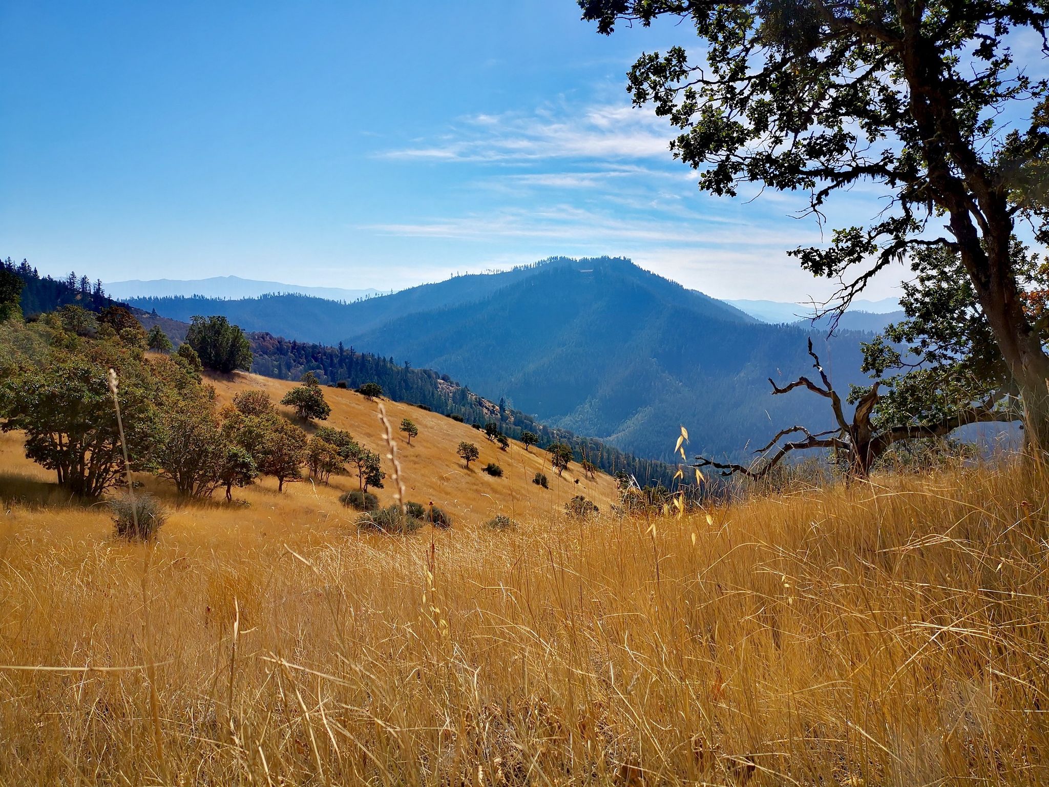Sunny view of golden hills leading to distant blue mountains under clear sky. - East Applegate Ridge Trail