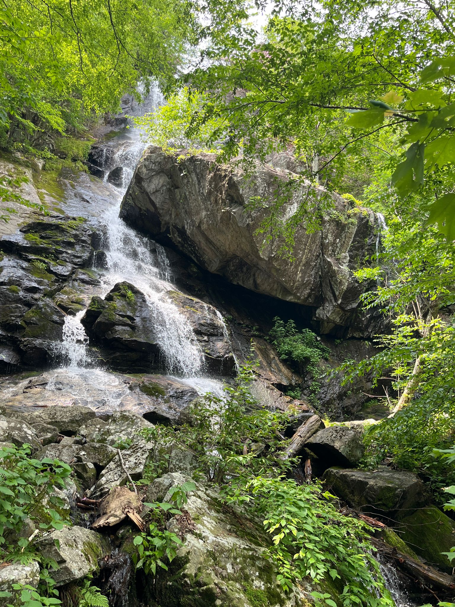 A multi-tiered waterfall cascades over large mossy rocks amidst lush green foliage. - Cornelius Creek Trail – Apple Orchard Falls loop from Apple Orchard Mountain