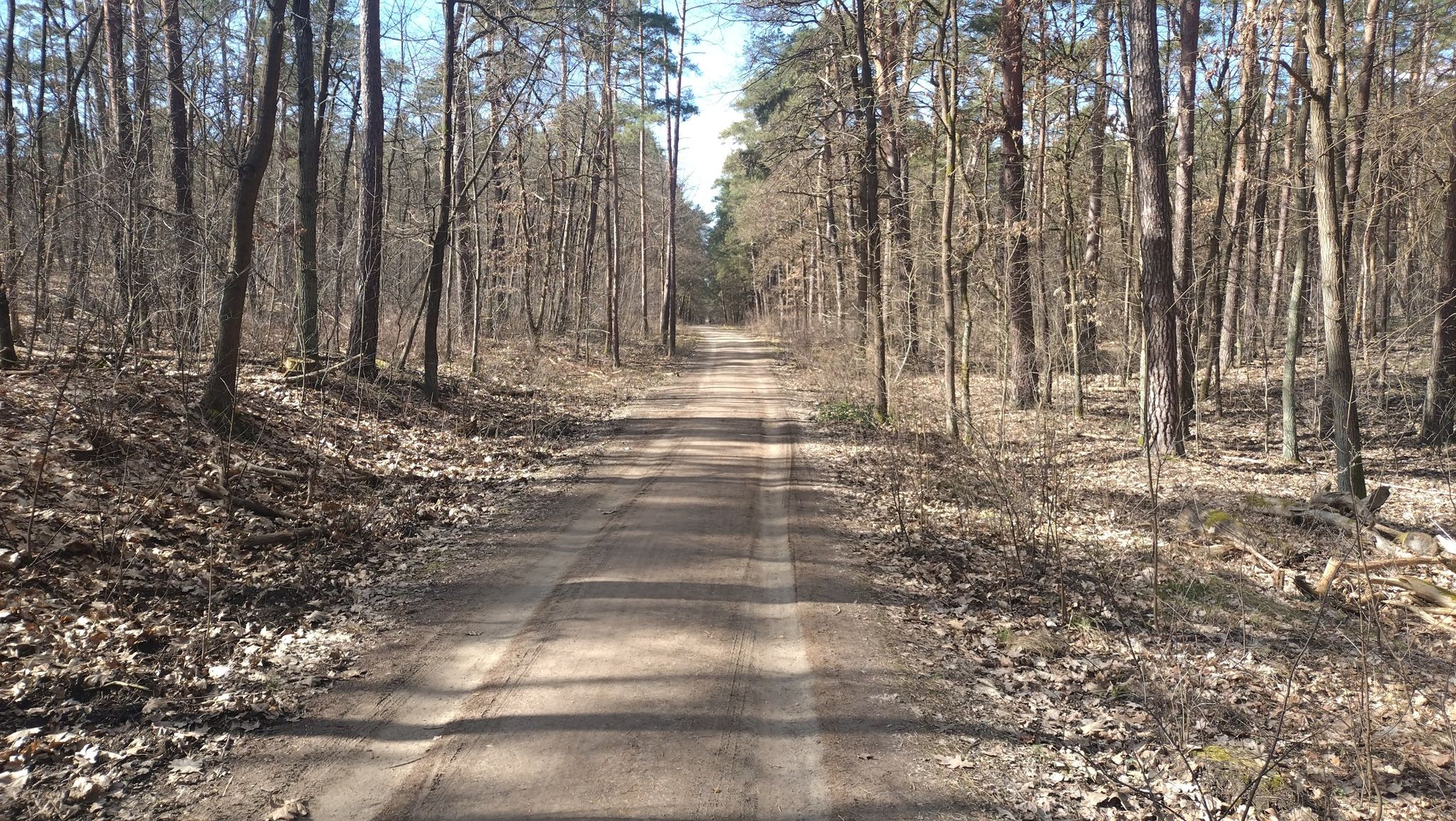 Der Abzweig auf die Waldautobahn