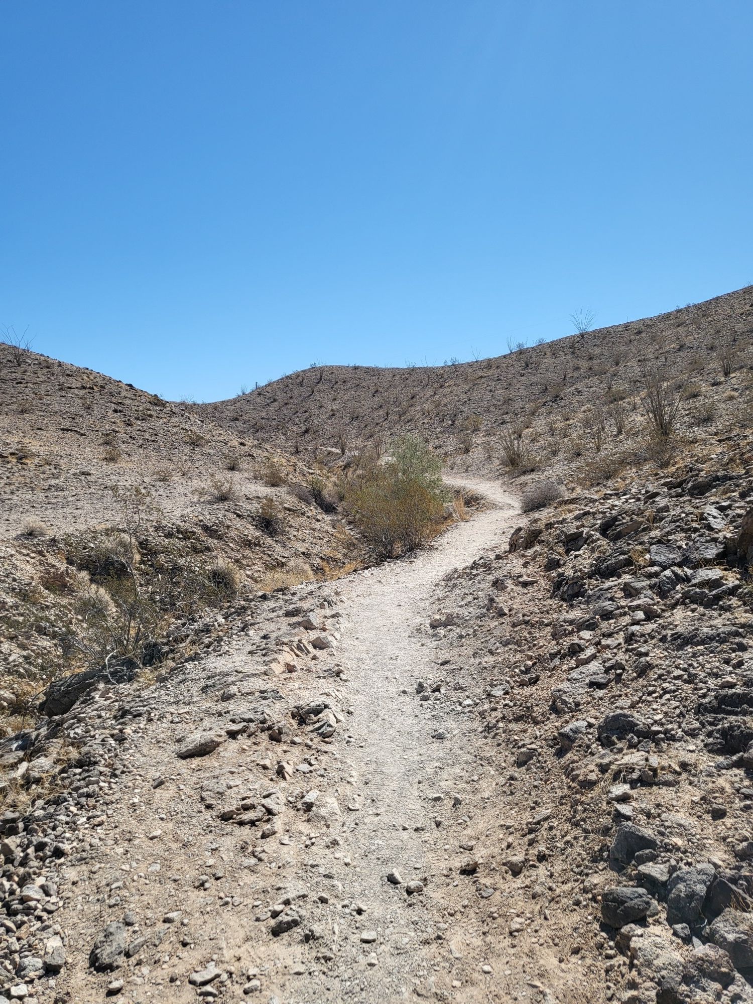 A narrow dirt trail winds through arid, rocky hills under a clear blue sky. - Long Telegraph Pass Loop