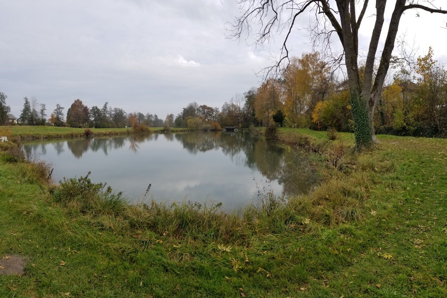 Stechl-Weiher