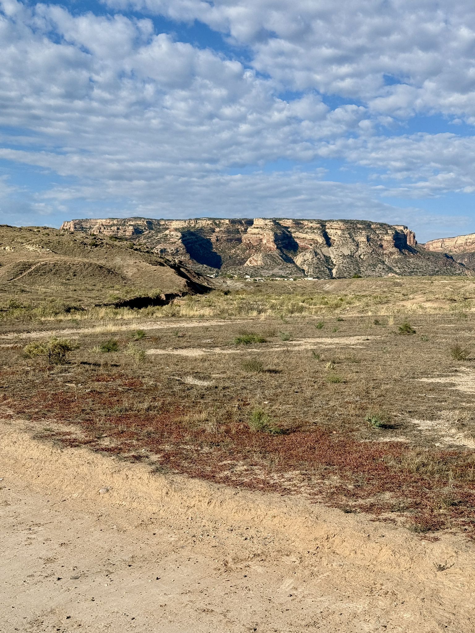 Arid plain stretches towards a large, distant mesa under cloudy sky. - Monument Corridor Trail – Kids Meal Trail loop from Grand Junction