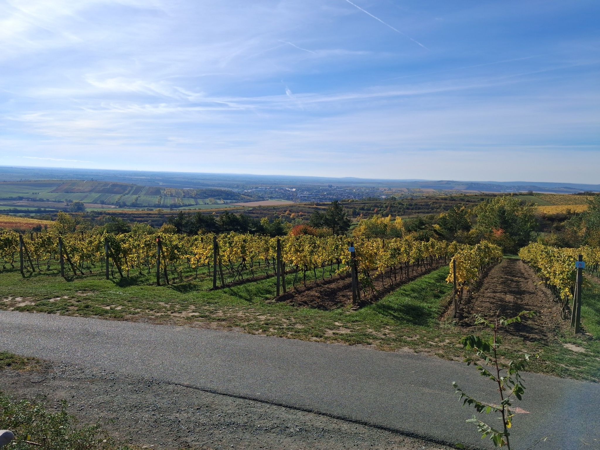 Schöner Ausblick auf Velke Pablovice