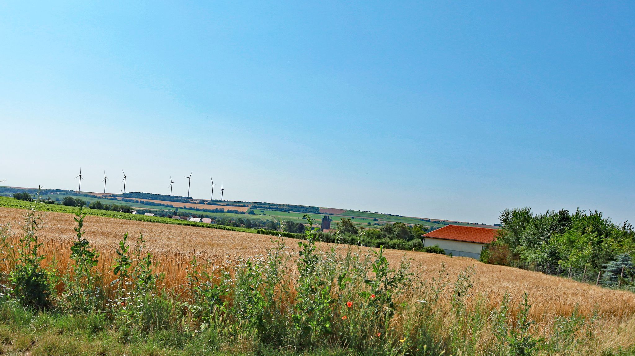 Zurück nach Eppelsheim