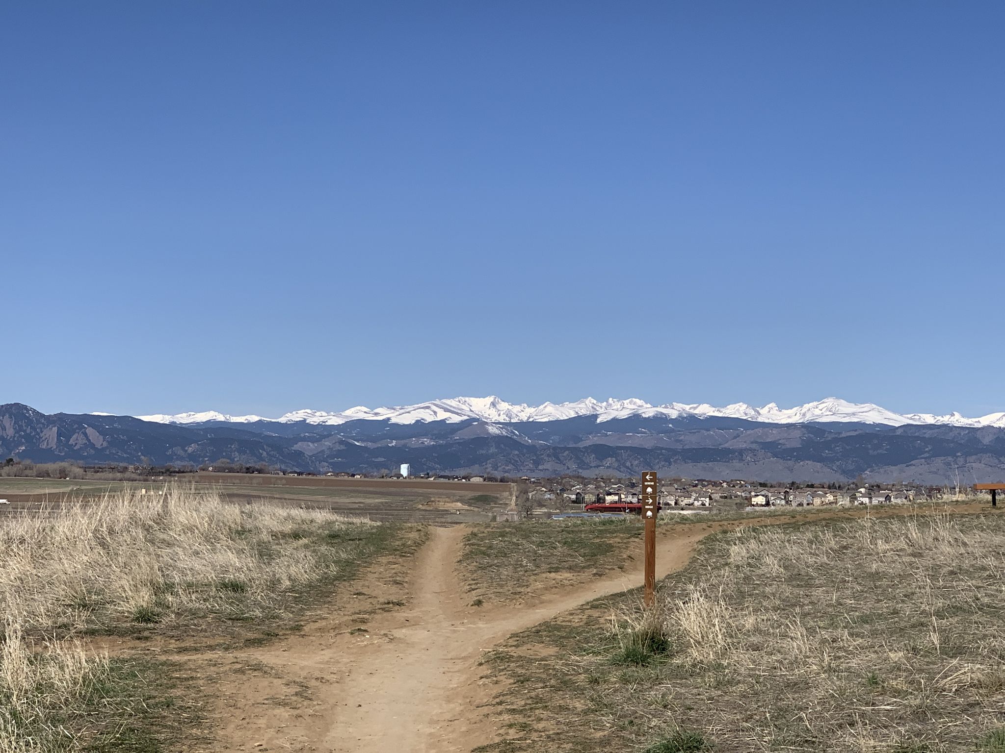 A dirt trail forks in a dry field, with snowy mountains under a clear sky. - Coal Creek and Erie Singletrack Loop