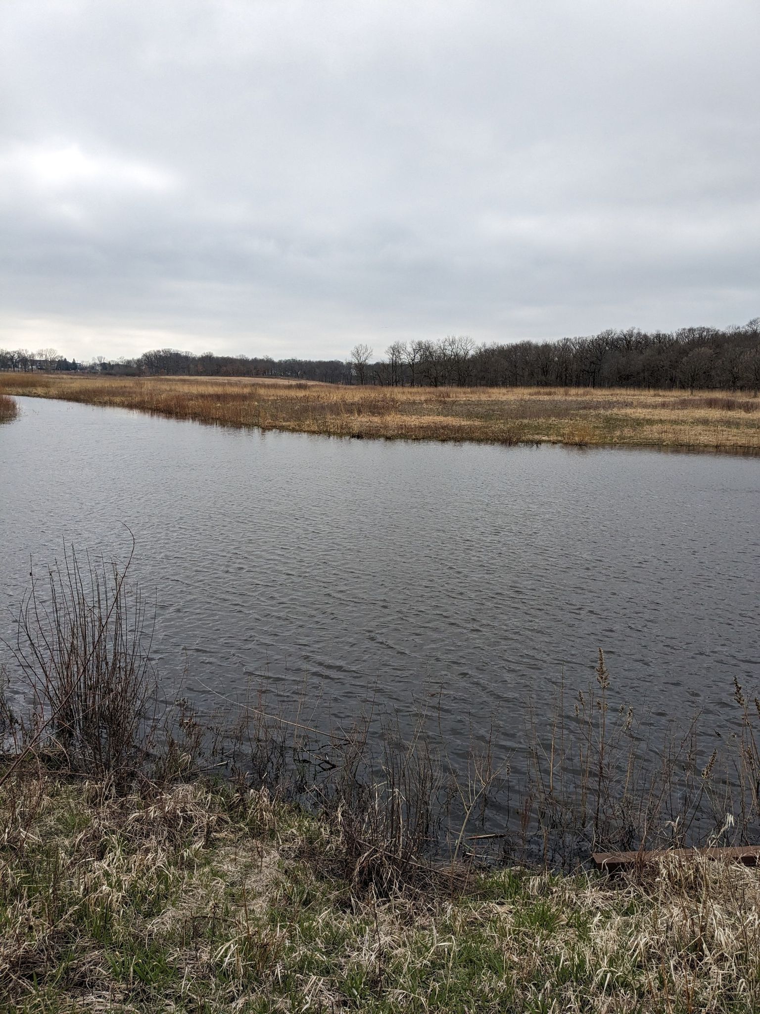 Wide dark water body surrounded by dry brown marshland under cloudy sky. - Green Heron Trail Loop