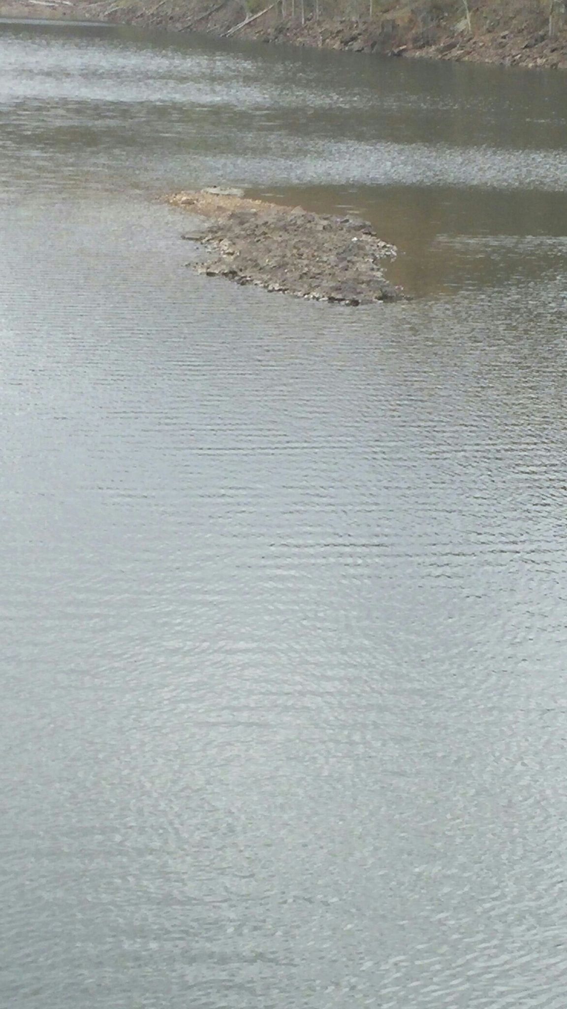 Close-up of calm water with a small rocky island in the middle. - View from West Peak – Mirror Lake loop from WHCN-FM (Hartford)