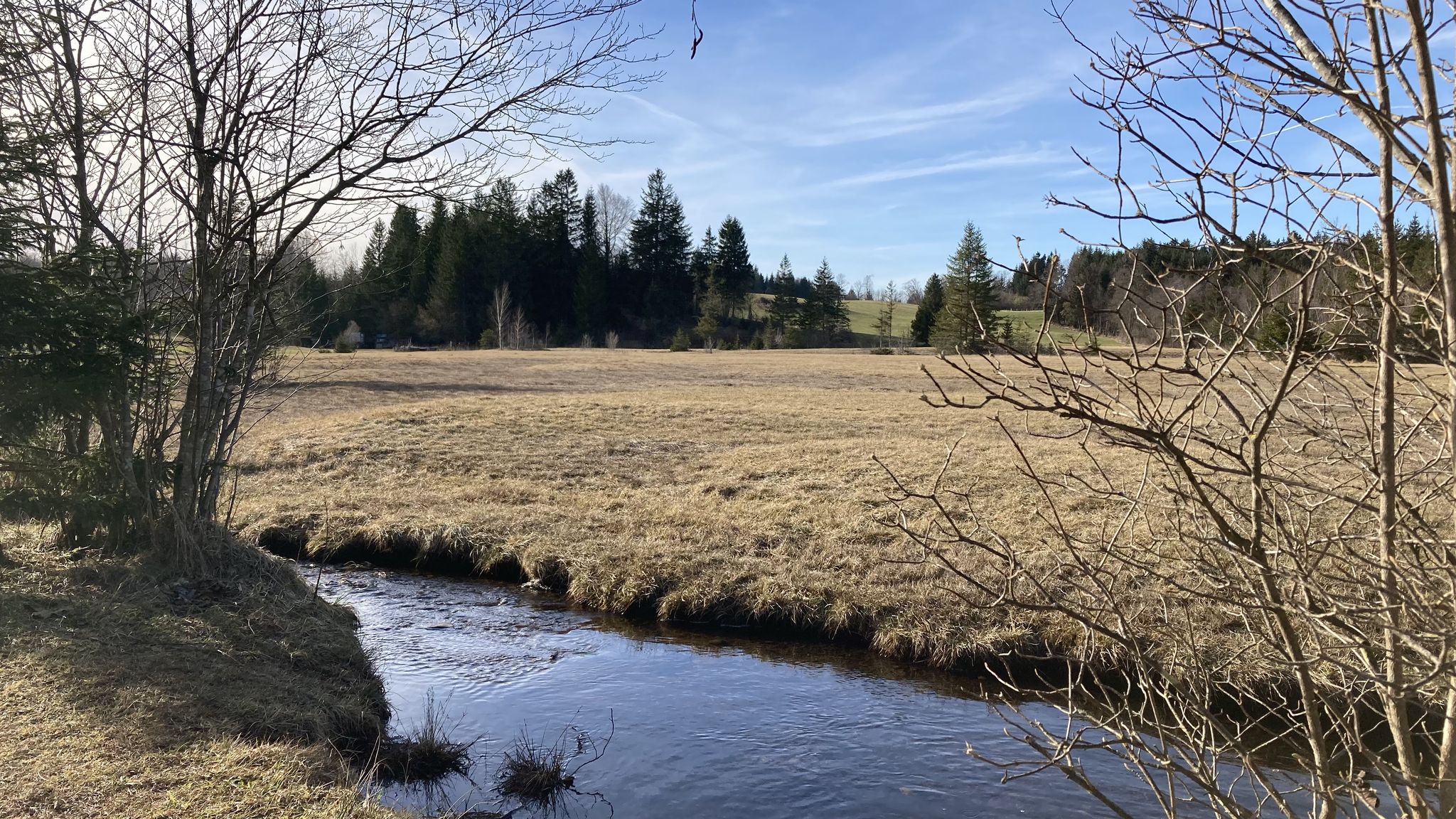 Ellbach- und Kirchseemoor