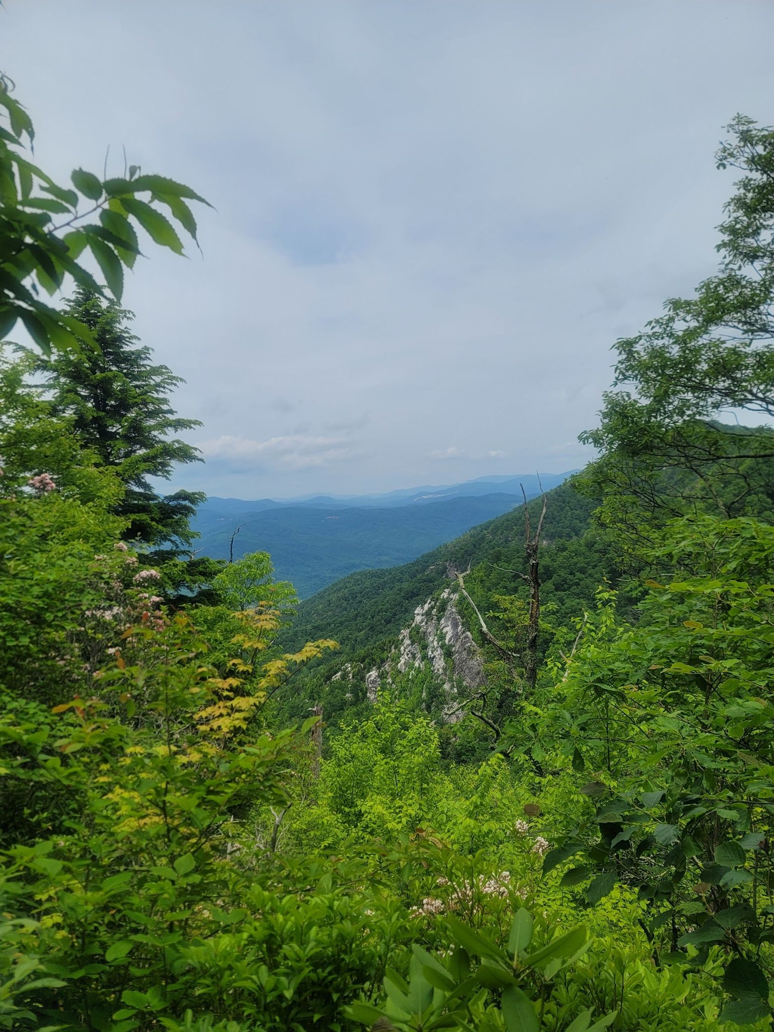 Lush green mountains and hazy distant peaks under an overcast sky. - Mountains-to-Sea Trail: Segment 4