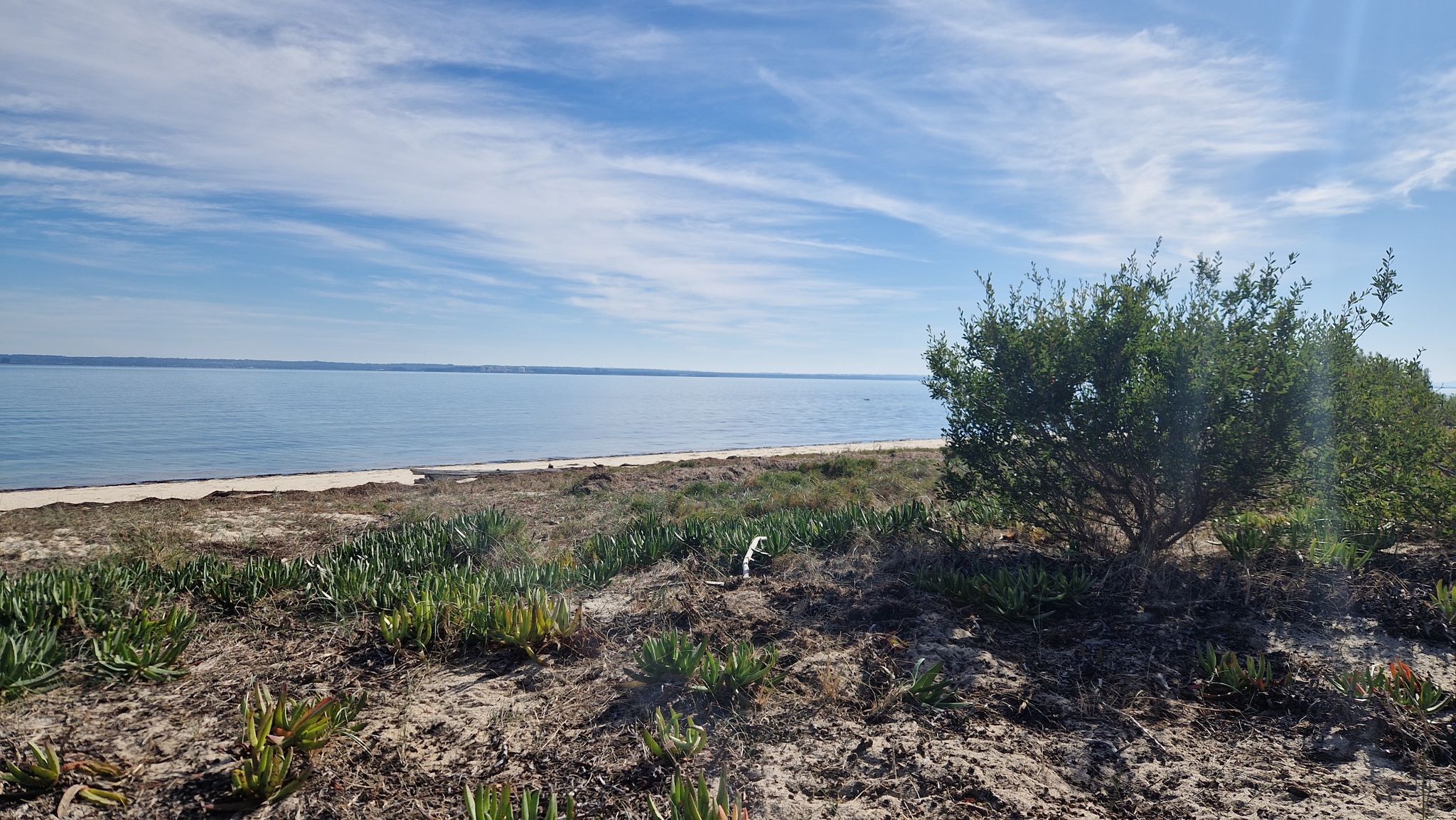 Beach Site