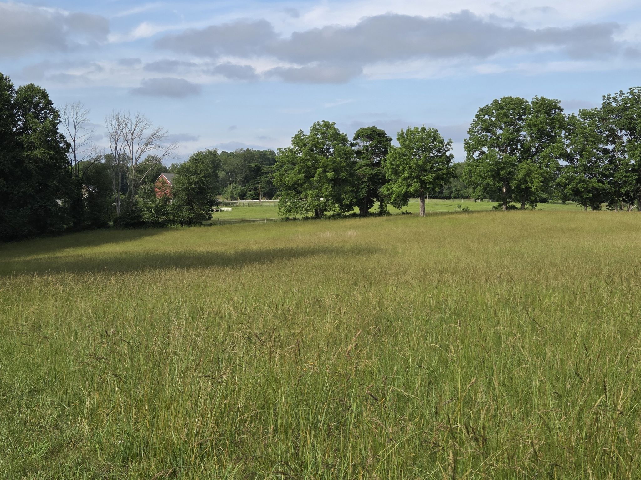 A large green grassy field under a partly cloudy sky with distant trees. - Brandywine Creek Monument Loop