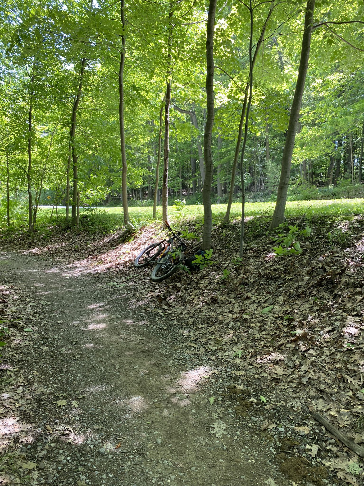 A dirt path through a sunlit forest with a bicycle resting by trees. - Bedford Reservation All Purpose Trail
