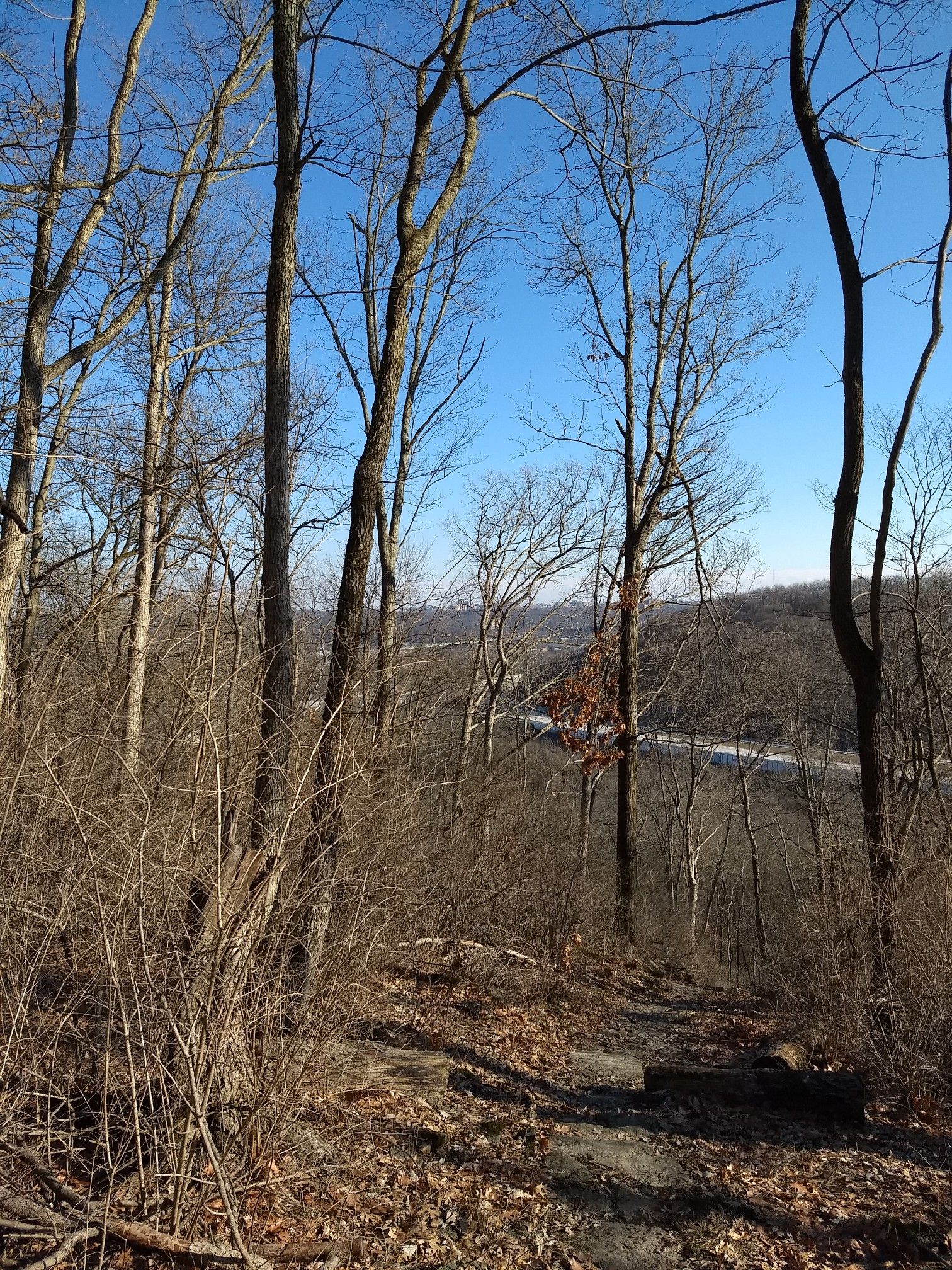 Bare trees frame a distant road and hills under a clear blue sky. - Explorer's Trail